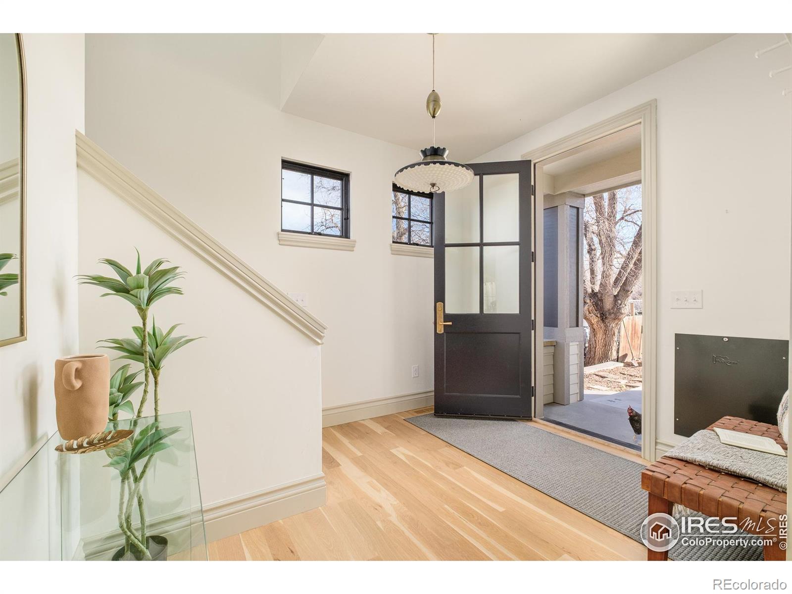 MLS Image #29 for 409  pierce street,erie, Colorado