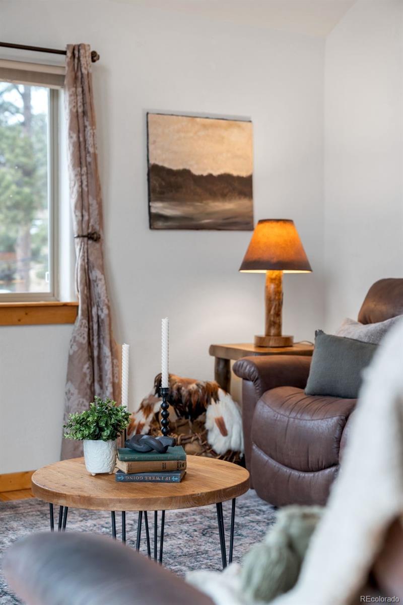MLS Image #13 for 34 s circle drive,bailey, Colorado