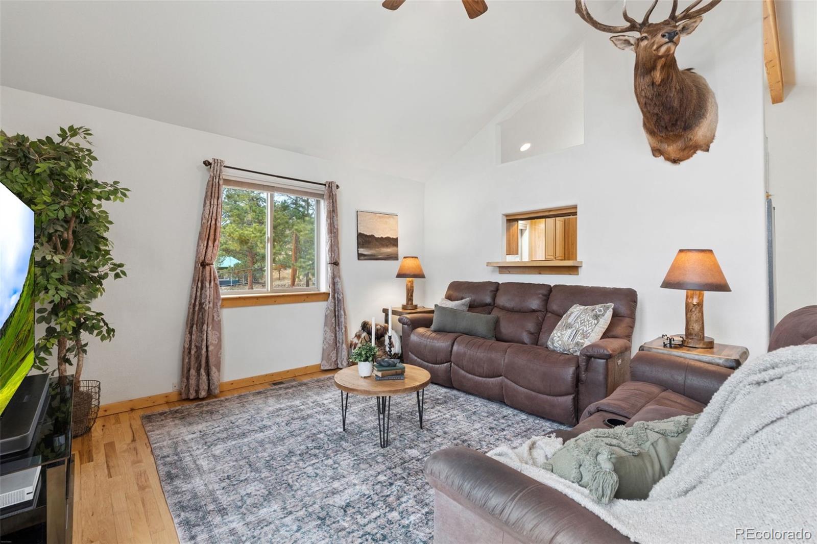 MLS Image #14 for 34 s circle drive,bailey, Colorado
