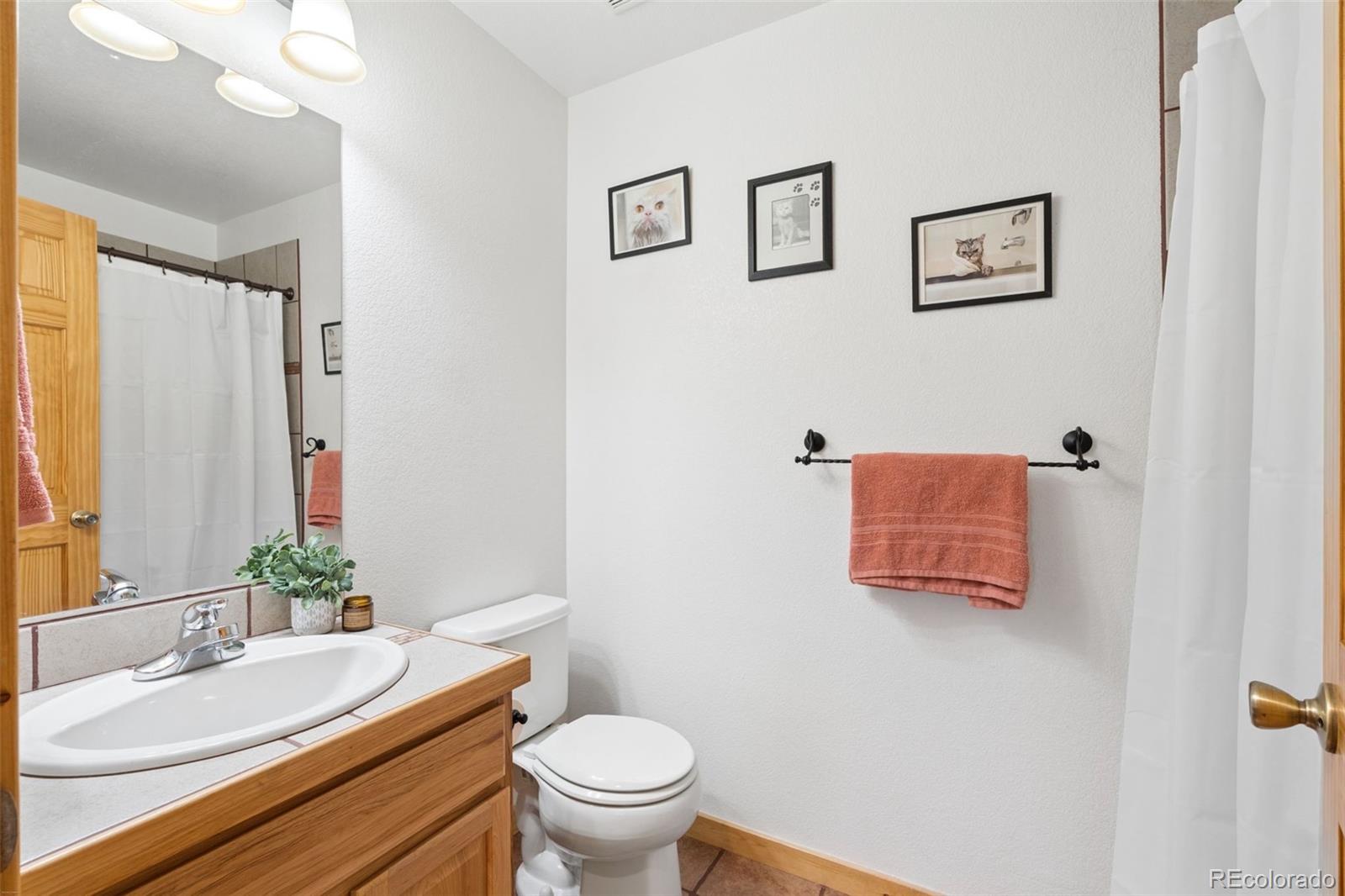 MLS Image #31 for 34 s circle drive,bailey, Colorado