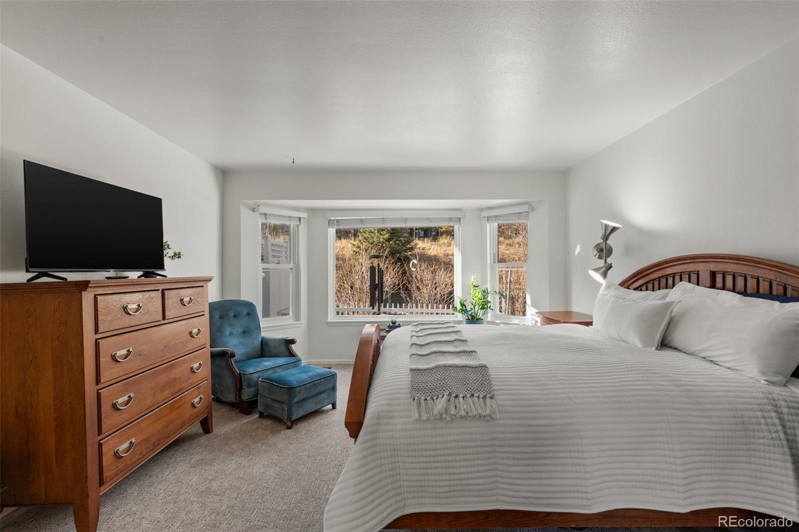 MLS Image #26 for 2640  holman court,colorado springs, Colorado