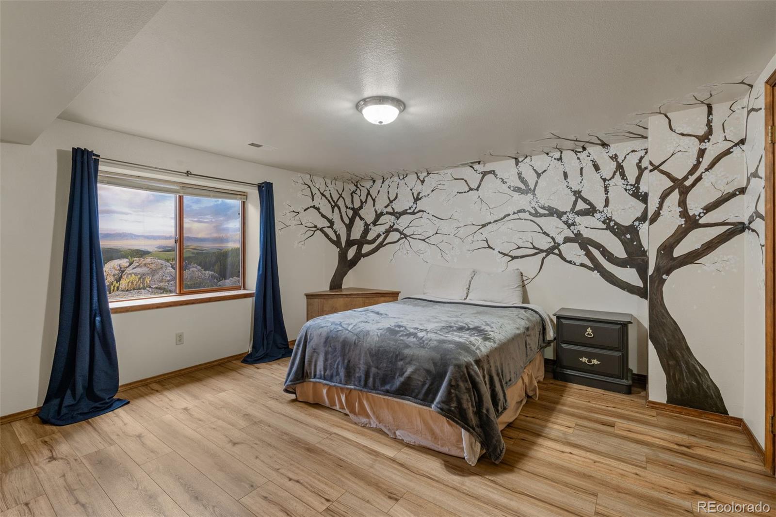 MLS Image #38 for 2640  holman court,colorado springs, Colorado
