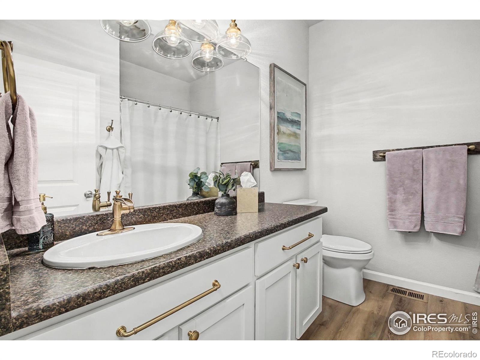 MLS Image #20 for 3082  crux drive,loveland, Colorado