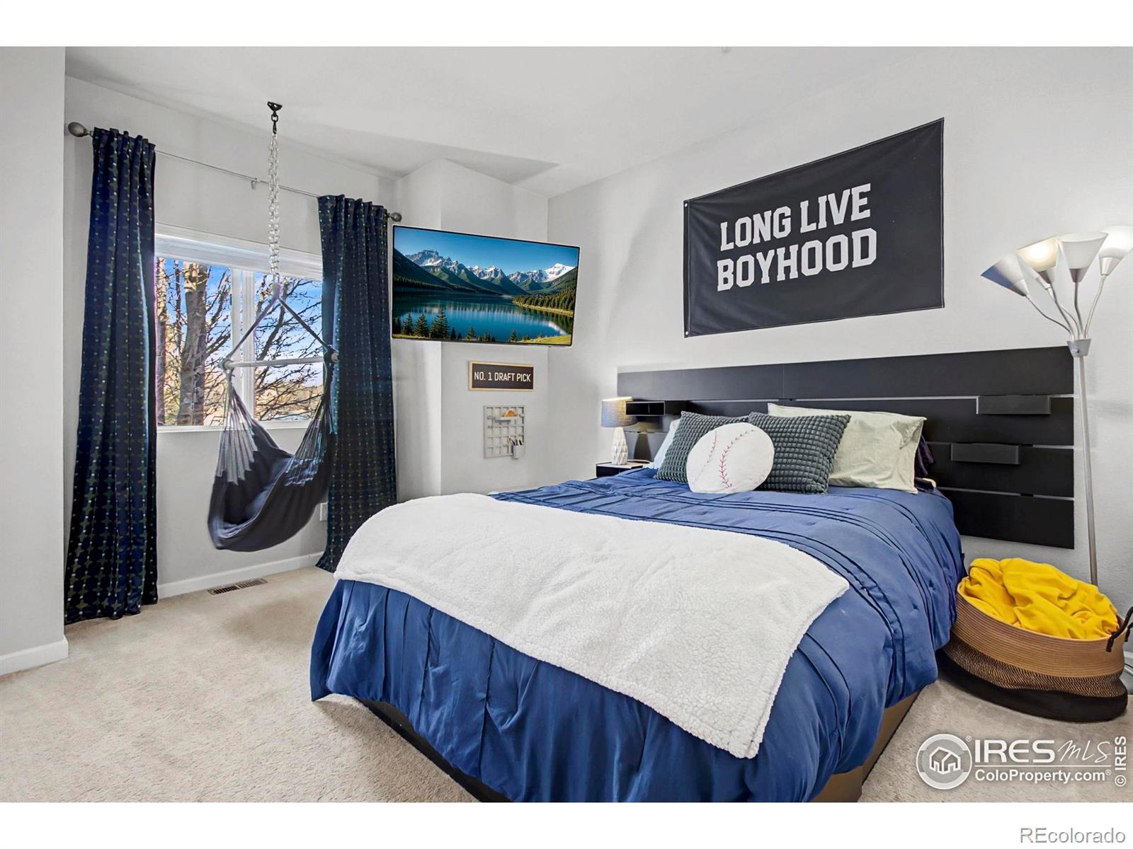 MLS Image #21 for 3082  crux drive,loveland, Colorado