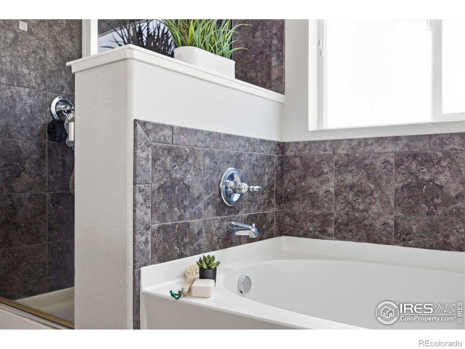 MLS Image #25 for 2293  adobe drive,fort collins, Colorado
