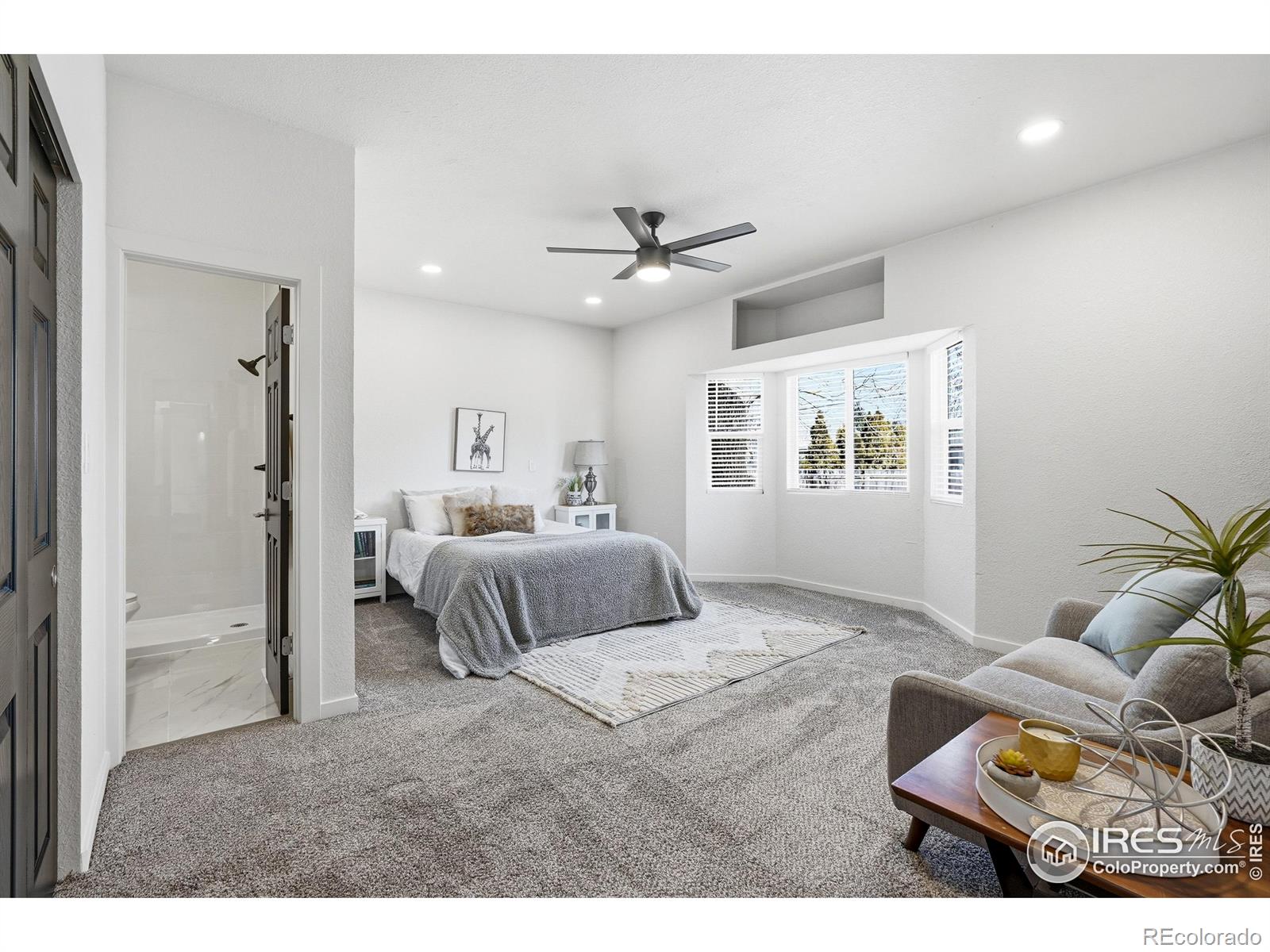 MLS Image #18 for 3412  logan avenue,loveland, Colorado