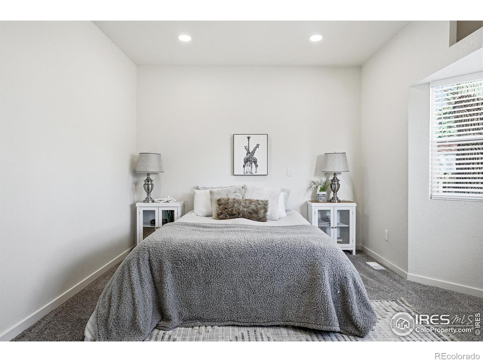 MLS Image #19 for 3412  logan avenue,loveland, Colorado