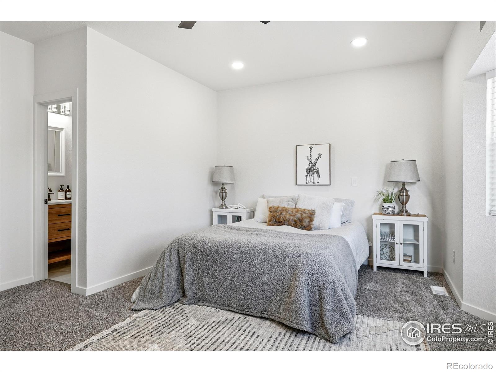 MLS Image #20 for 3412  logan avenue,loveland, Colorado