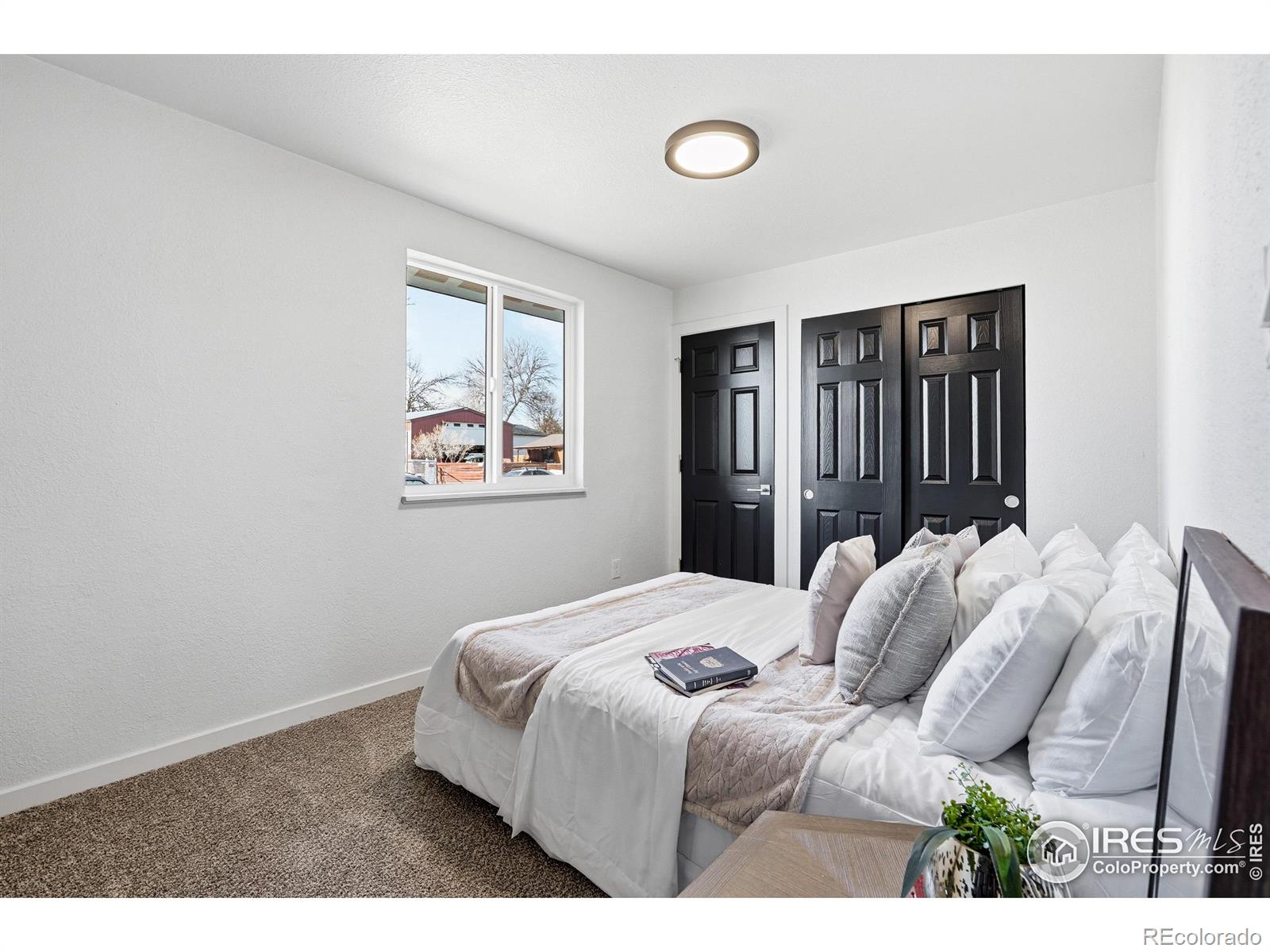 MLS Image #29 for 3412  logan avenue,loveland, Colorado