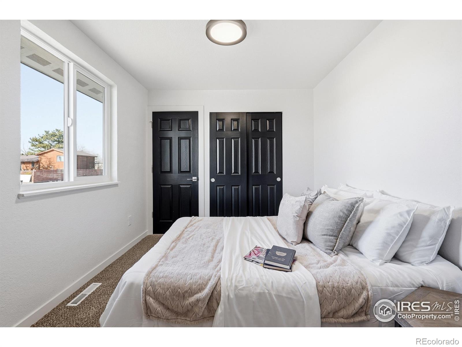 MLS Image #30 for 3412  logan avenue,loveland, Colorado