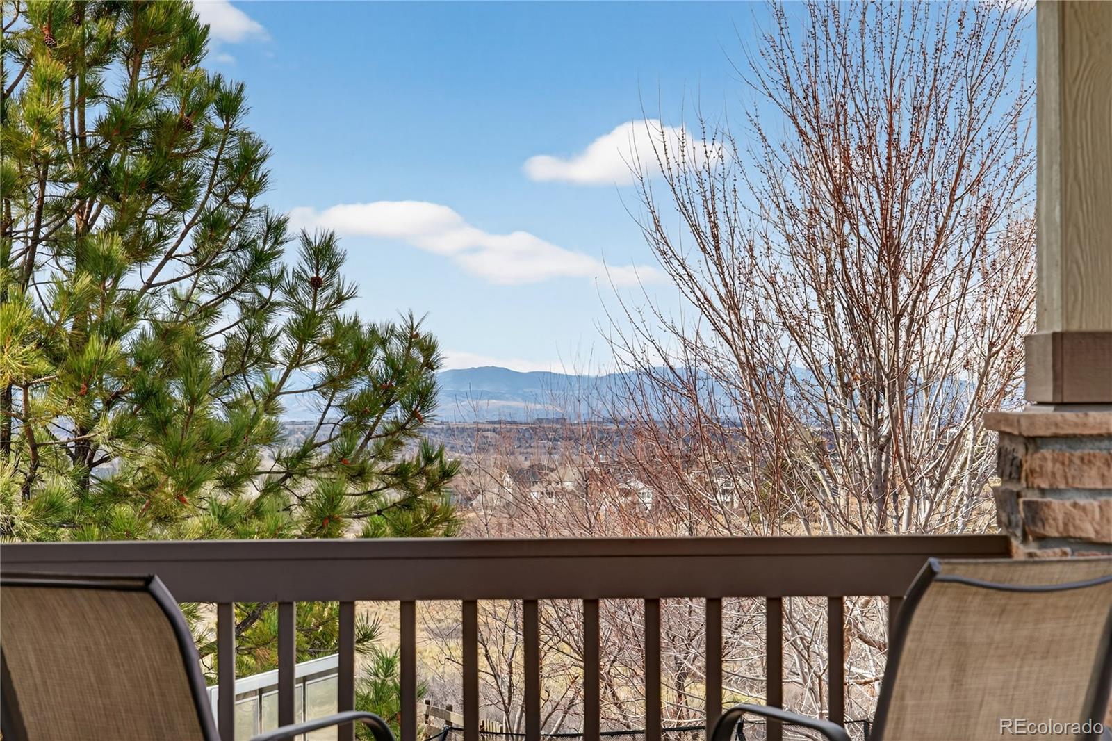 MLS Image #10 for 11948 s meander way,parker, Colorado