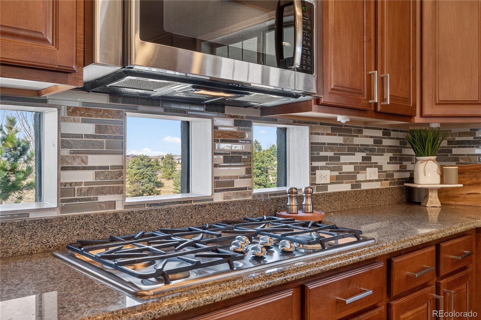 MLS Image #13 for 11948 s meander way,parker, Colorado