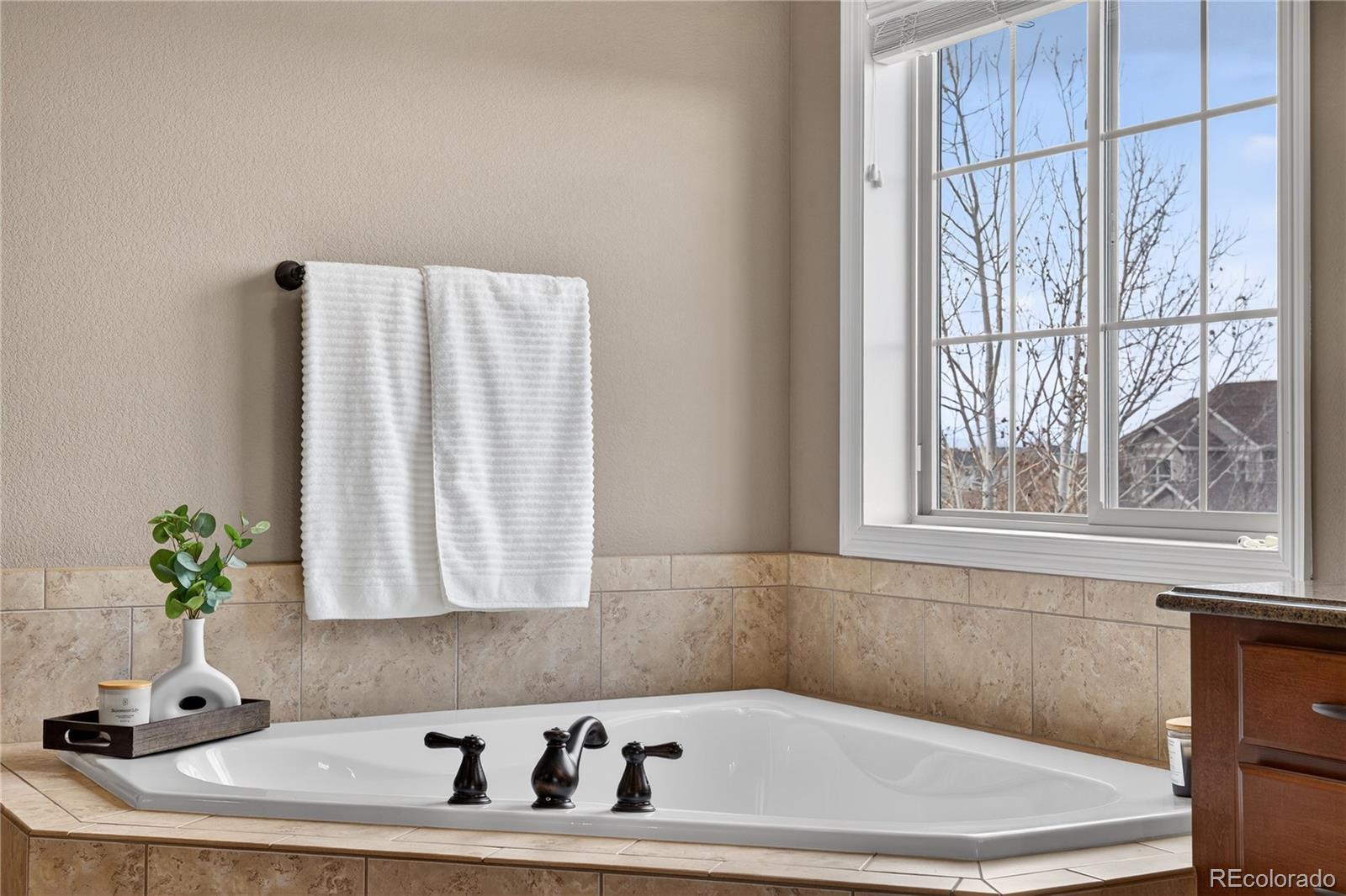 MLS Image #29 for 11948 s meander way,parker, Colorado