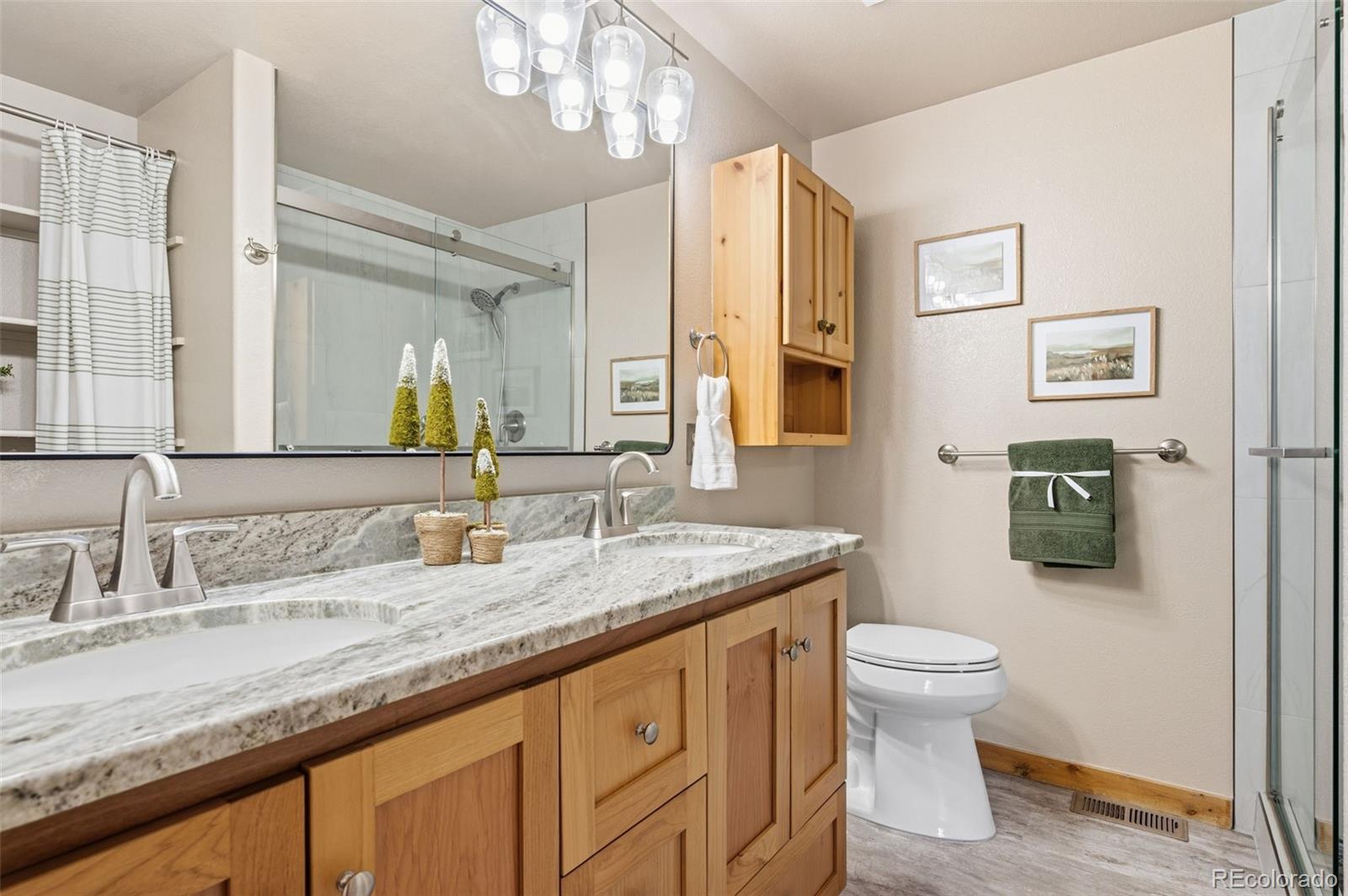MLS Image #16 for 185  pamona lake drive,divide, Colorado