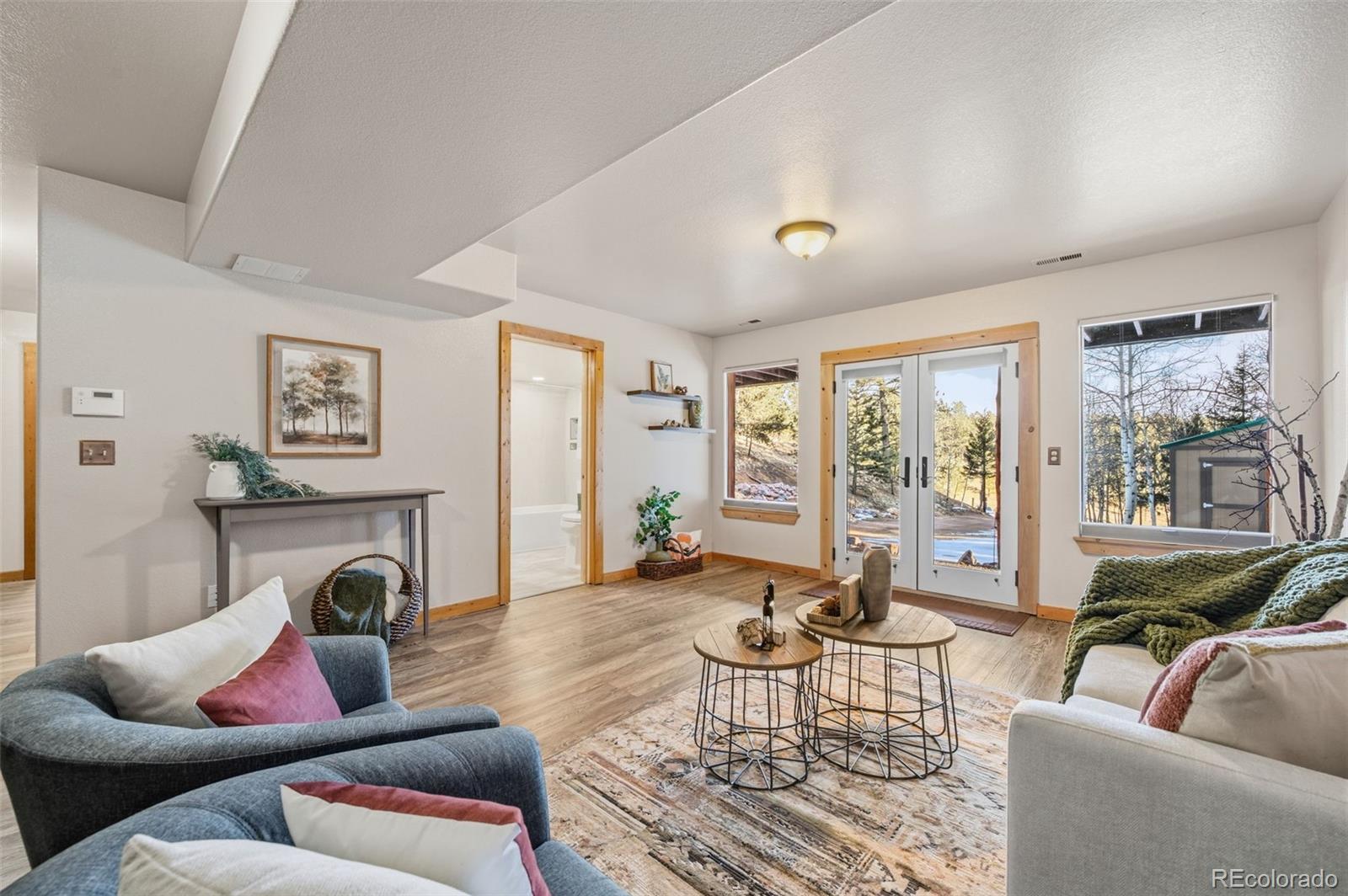 MLS Image #22 for 185  pamona lake drive,divide, Colorado