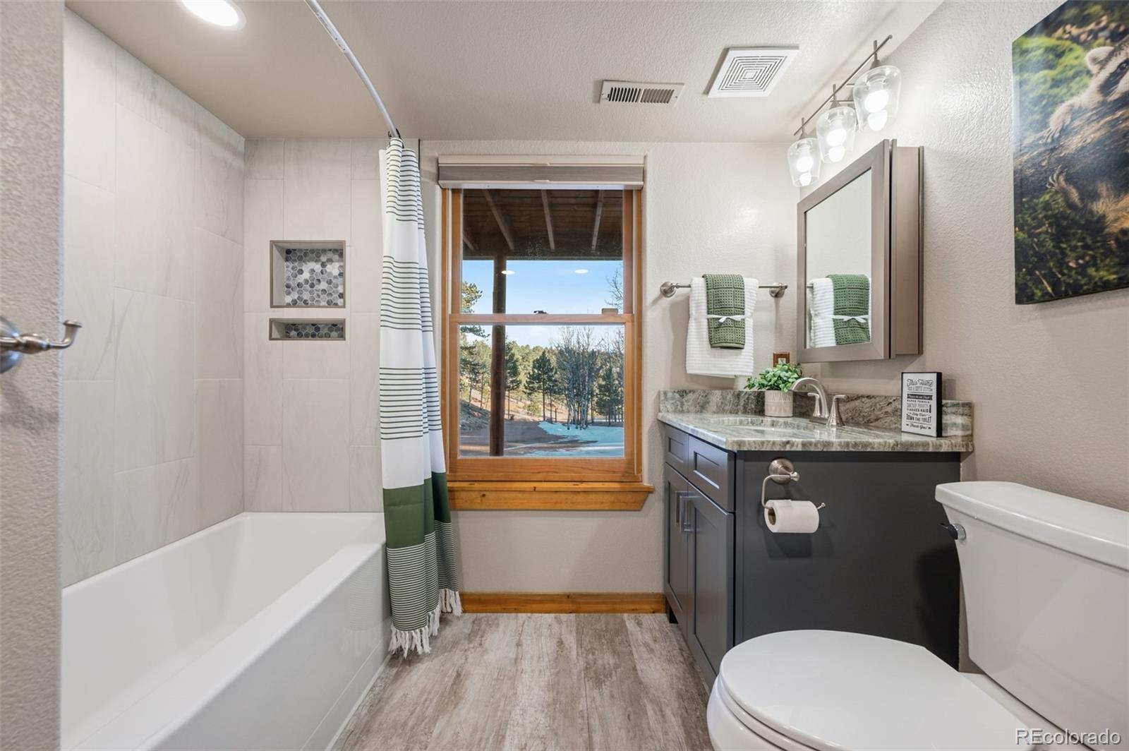 MLS Image #28 for 185  pamona lake drive,divide, Colorado
