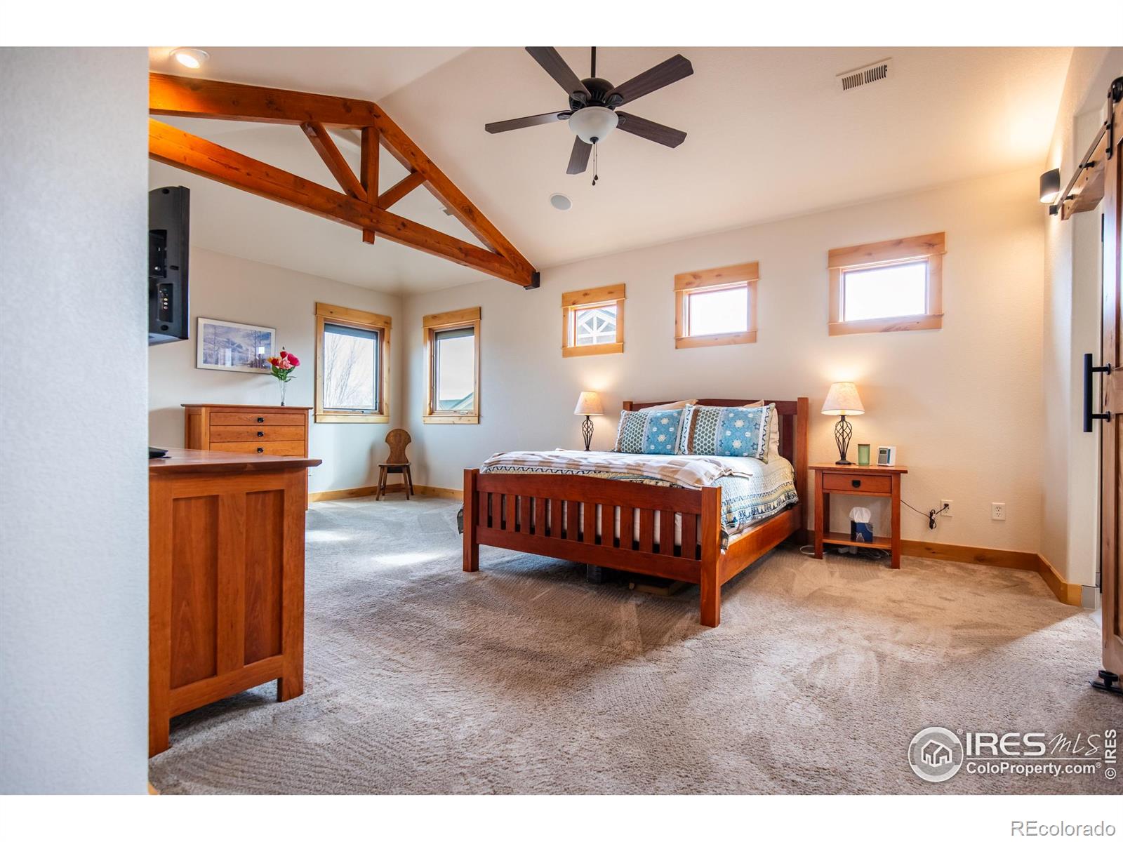 MLS Image #22 for 1933  dominica court,windsor, Colorado
