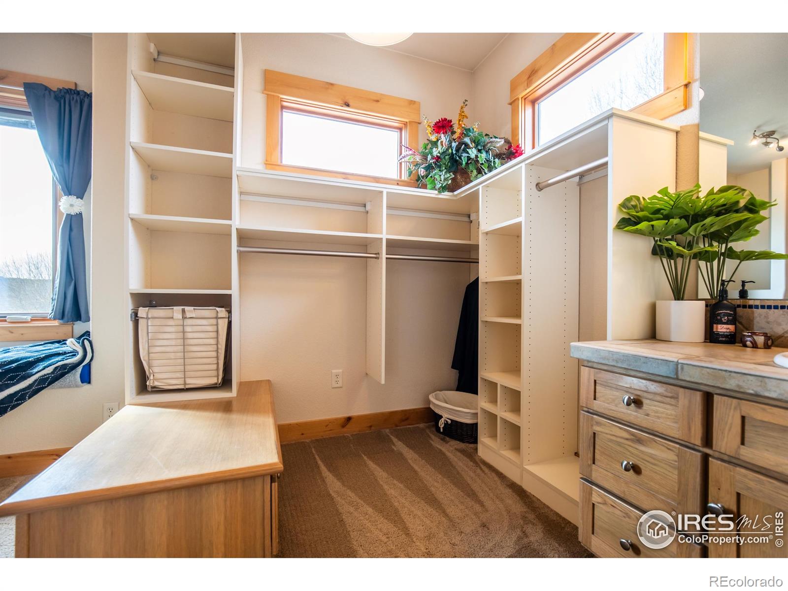 MLS Image #32 for 1933  dominica court,windsor, Colorado