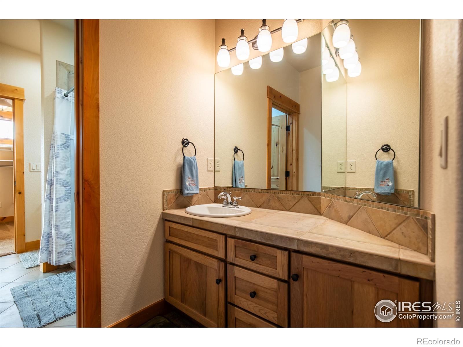 MLS Image #34 for 1933  dominica court,windsor, Colorado