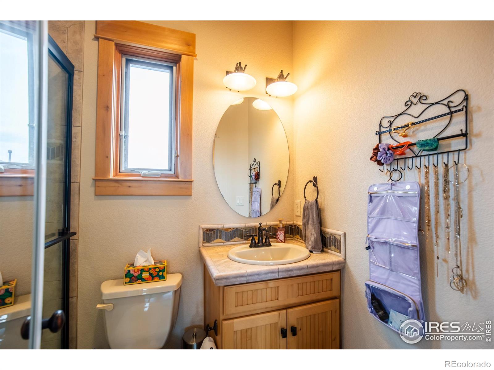 MLS Image #41 for 1933  dominica court,windsor, Colorado