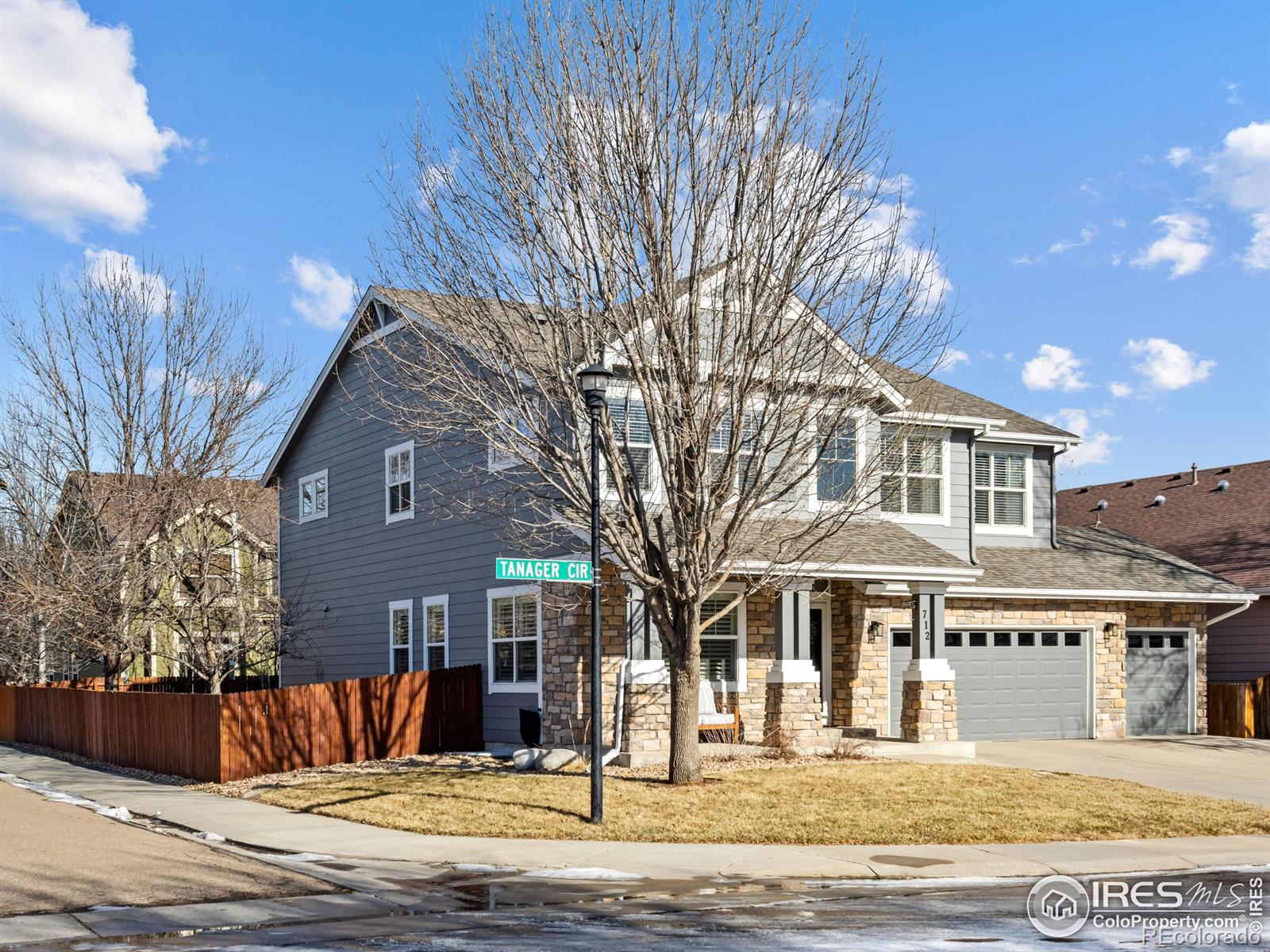 MLS Image #3 for 712  tanager circle,longmont, Colorado