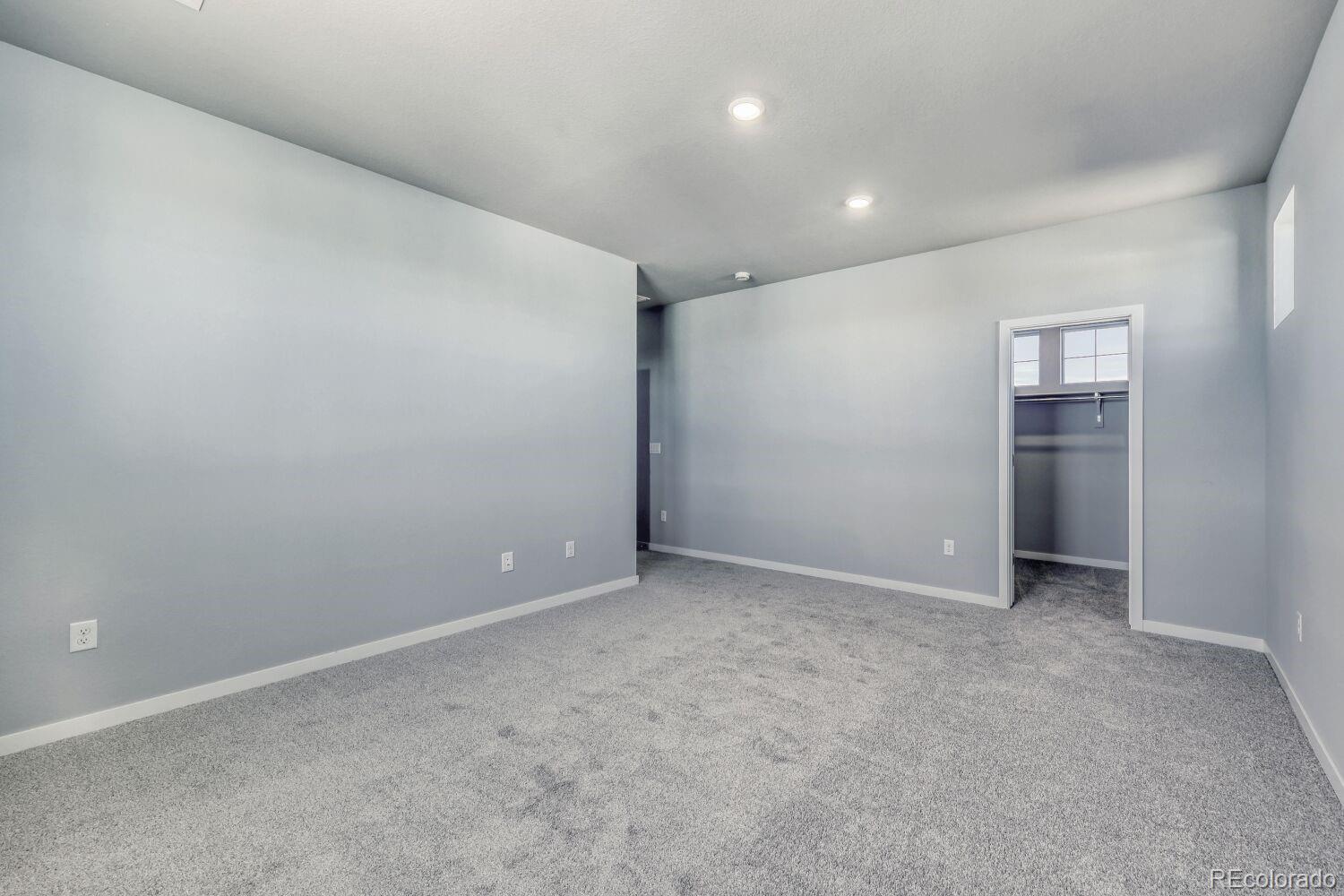 MLS Image #12 for 13708  daffodil point,parker, Colorado