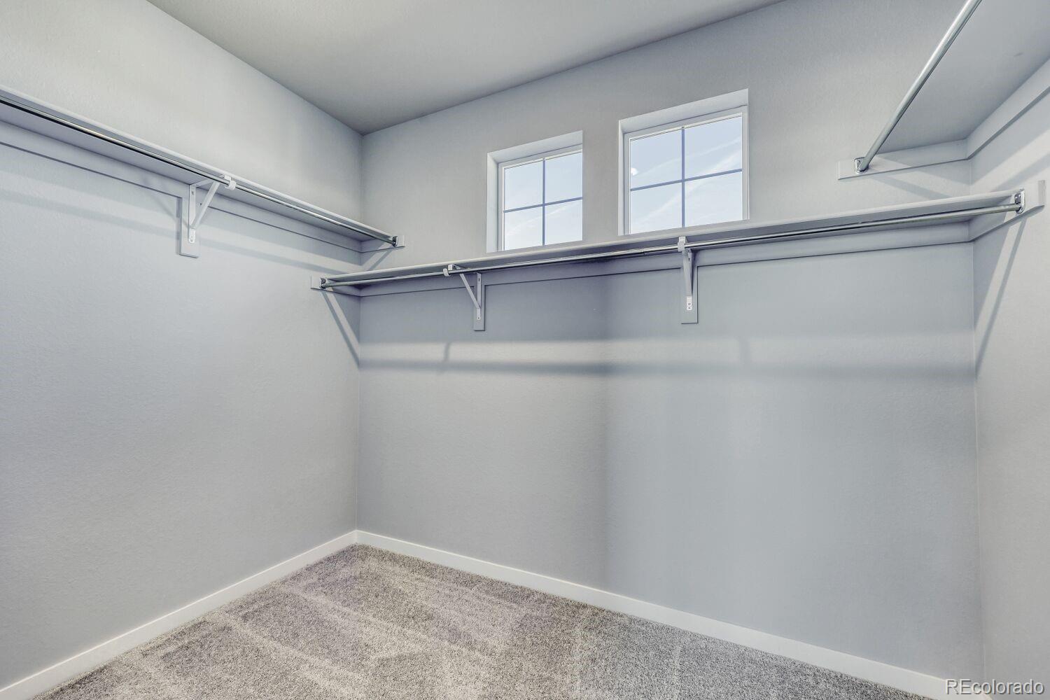 MLS Image #13 for 13708  daffodil point,parker, Colorado