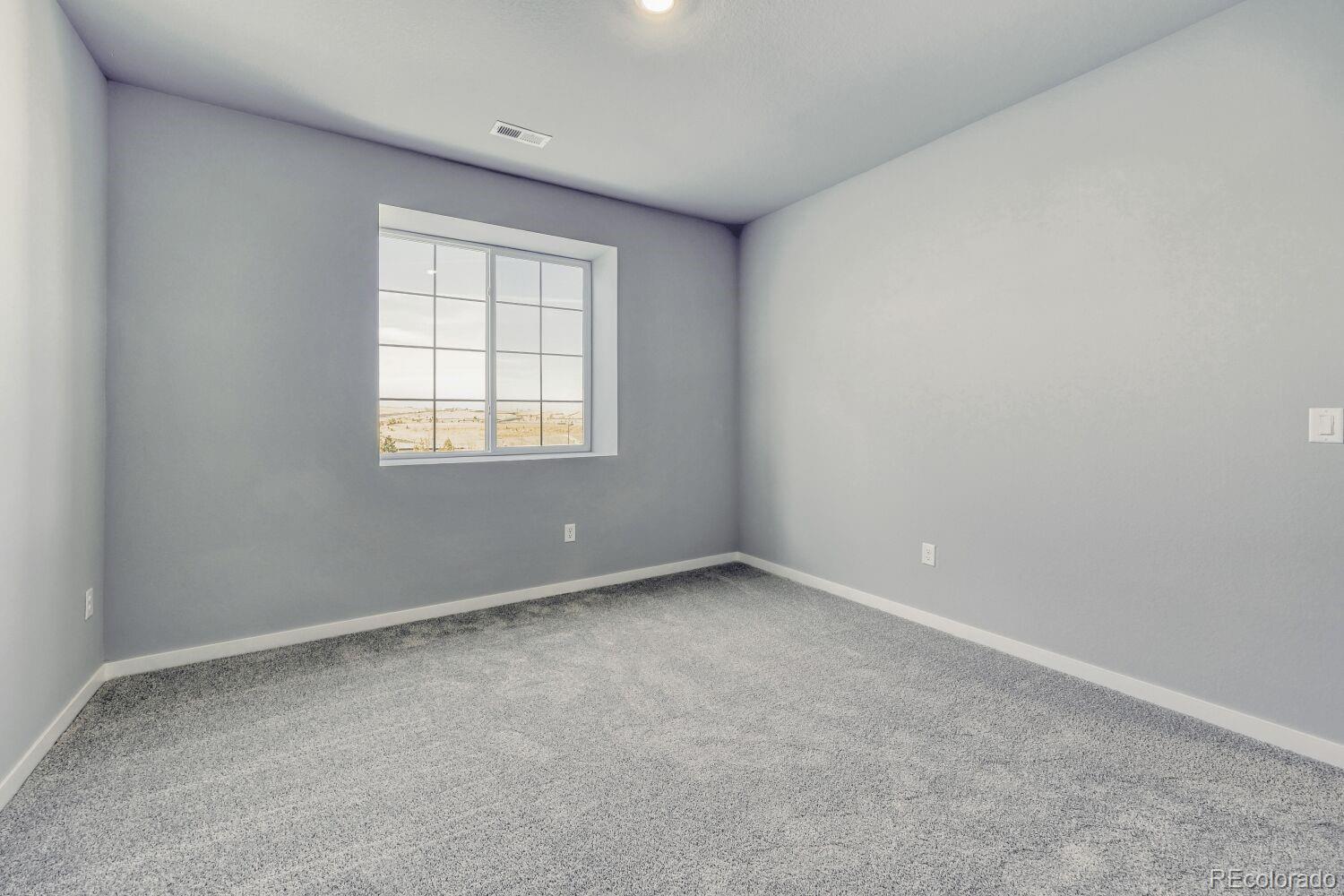 MLS Image #19 for 13708  daffodil point,parker, Colorado
