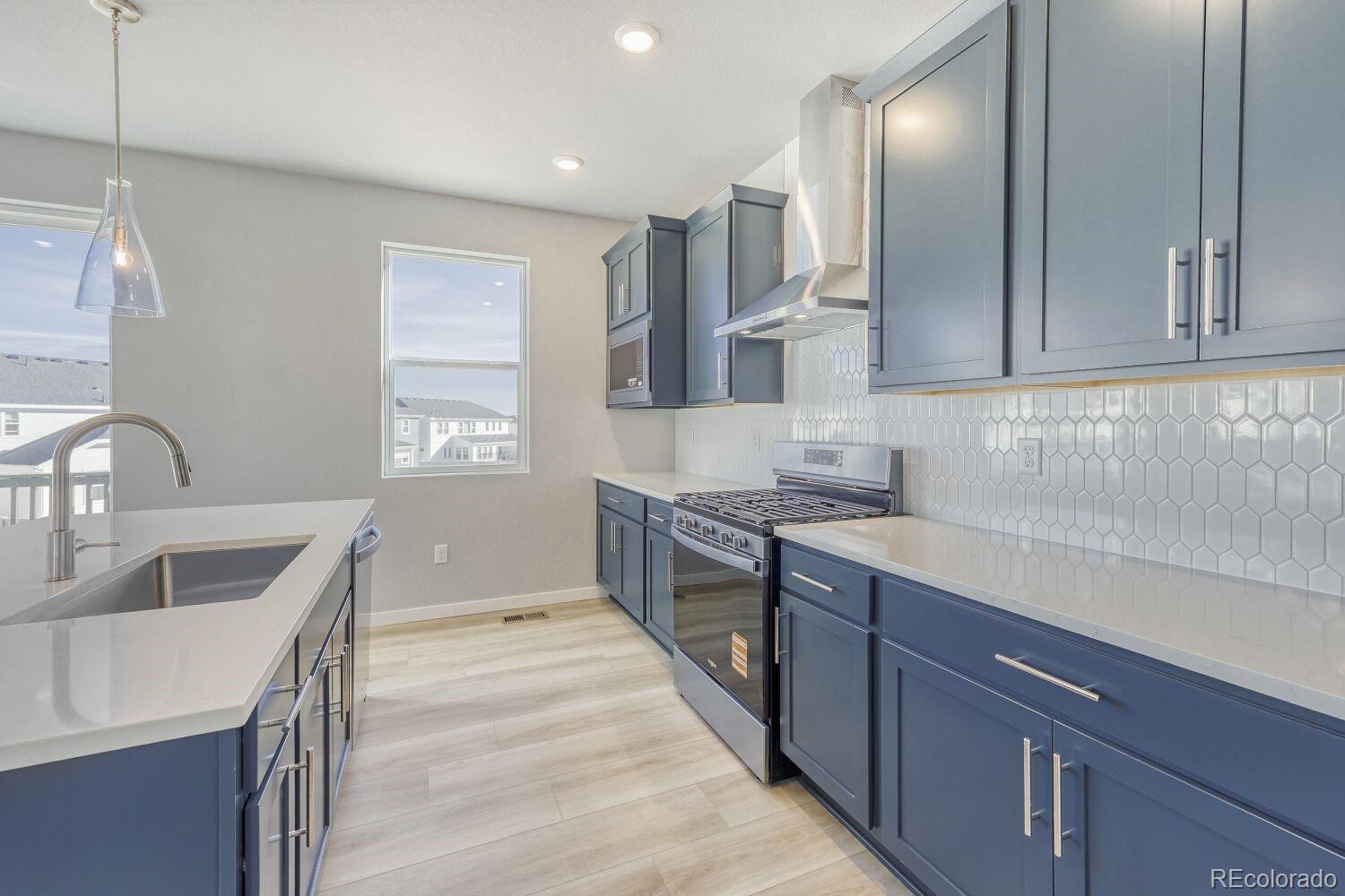 MLS Image #5 for 13708  daffodil point,parker, Colorado