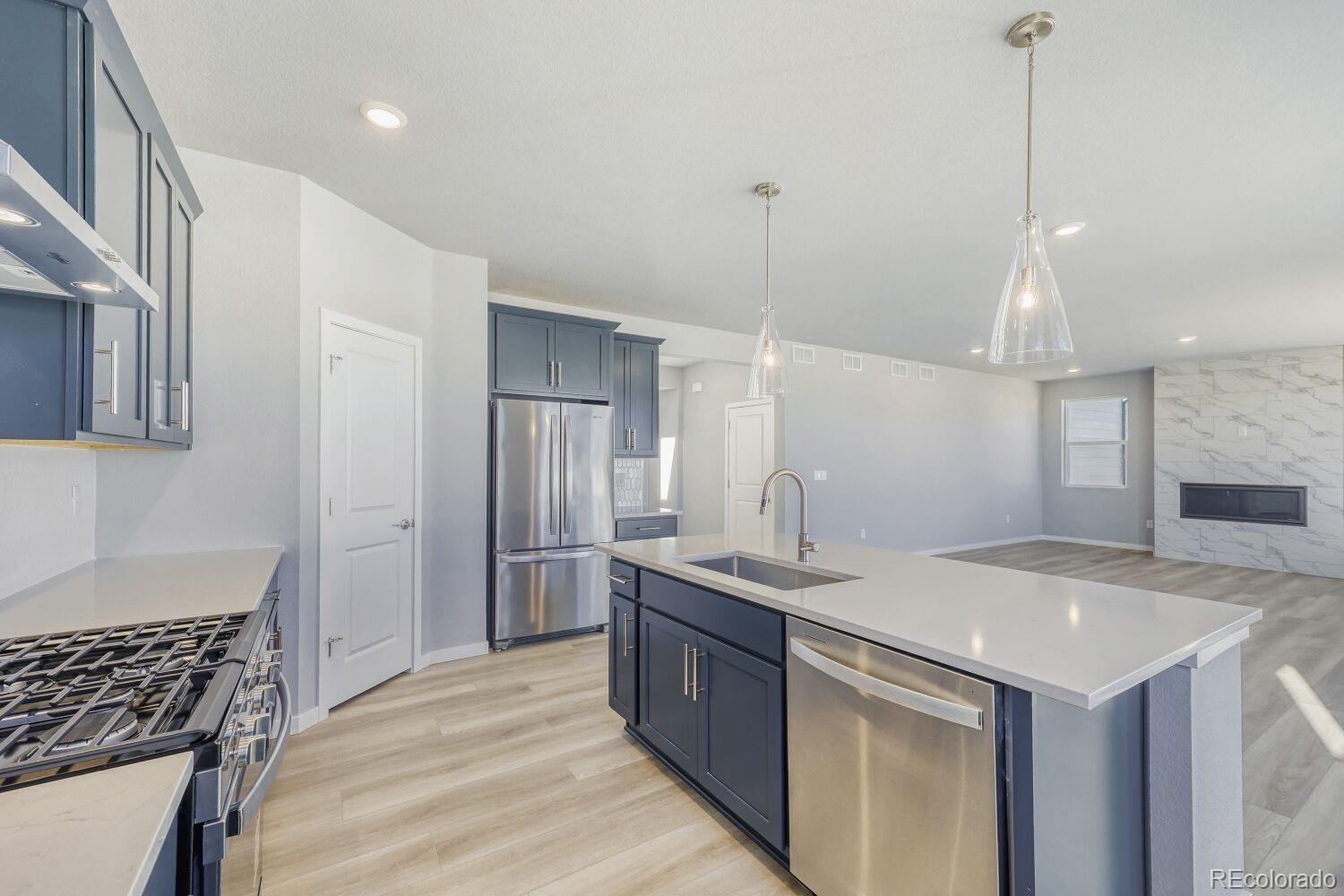 MLS Image #6 for 13708  daffodil point,parker, Colorado