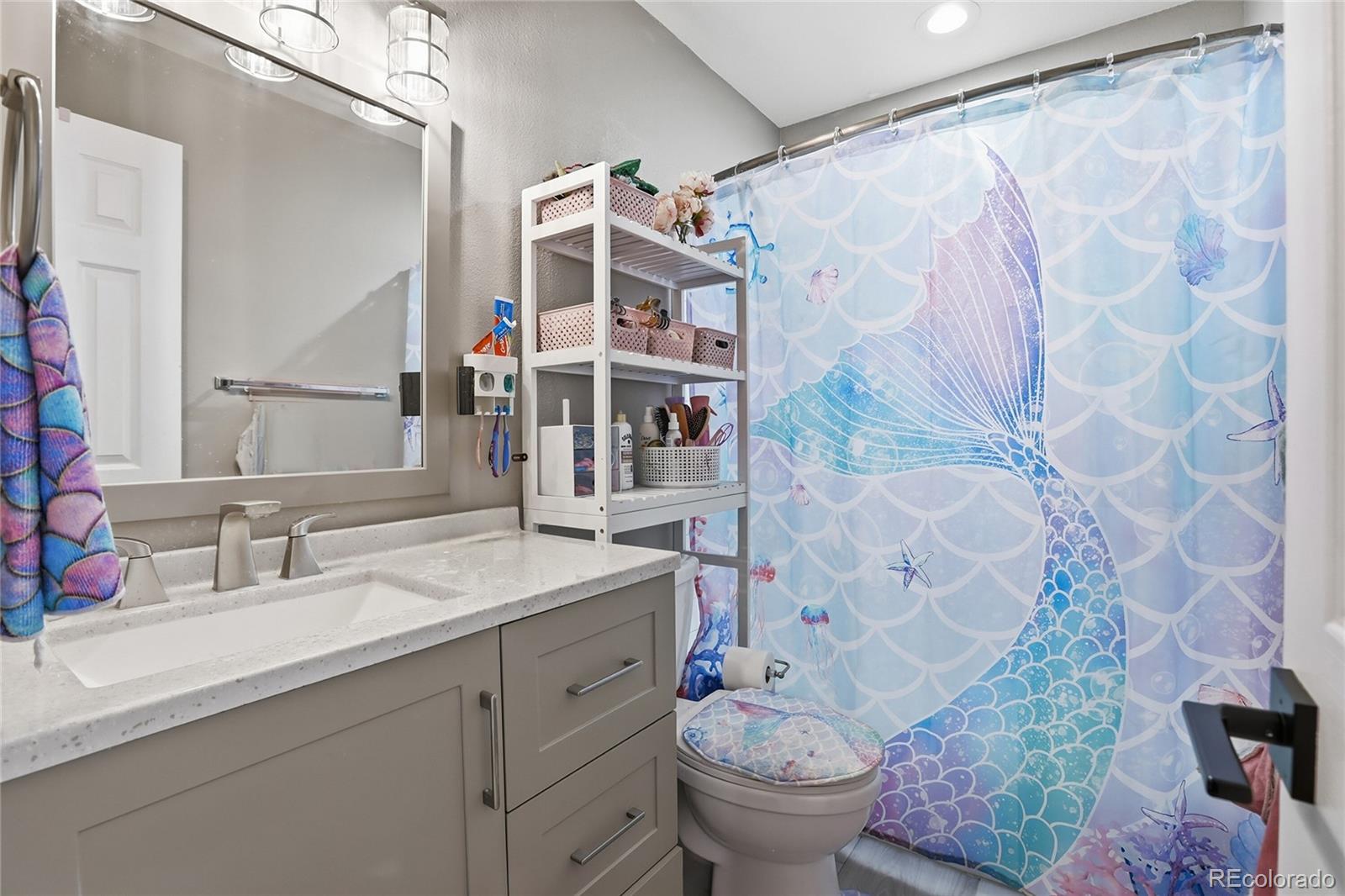 MLS Image #19 for 3854  licorice court,castle rock, Colorado