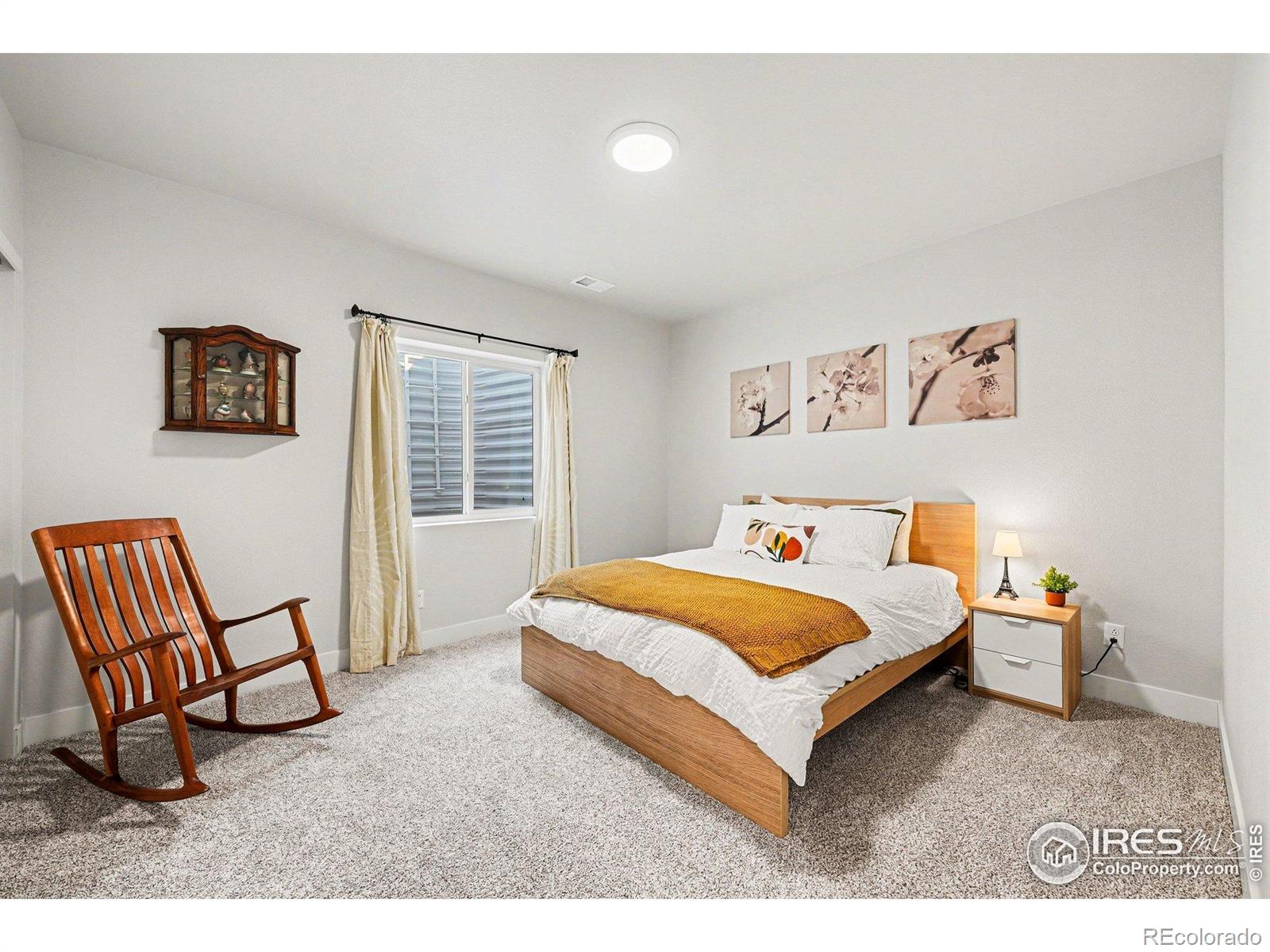 MLS Image #20 for 3009  biplane street,fort collins, Colorado