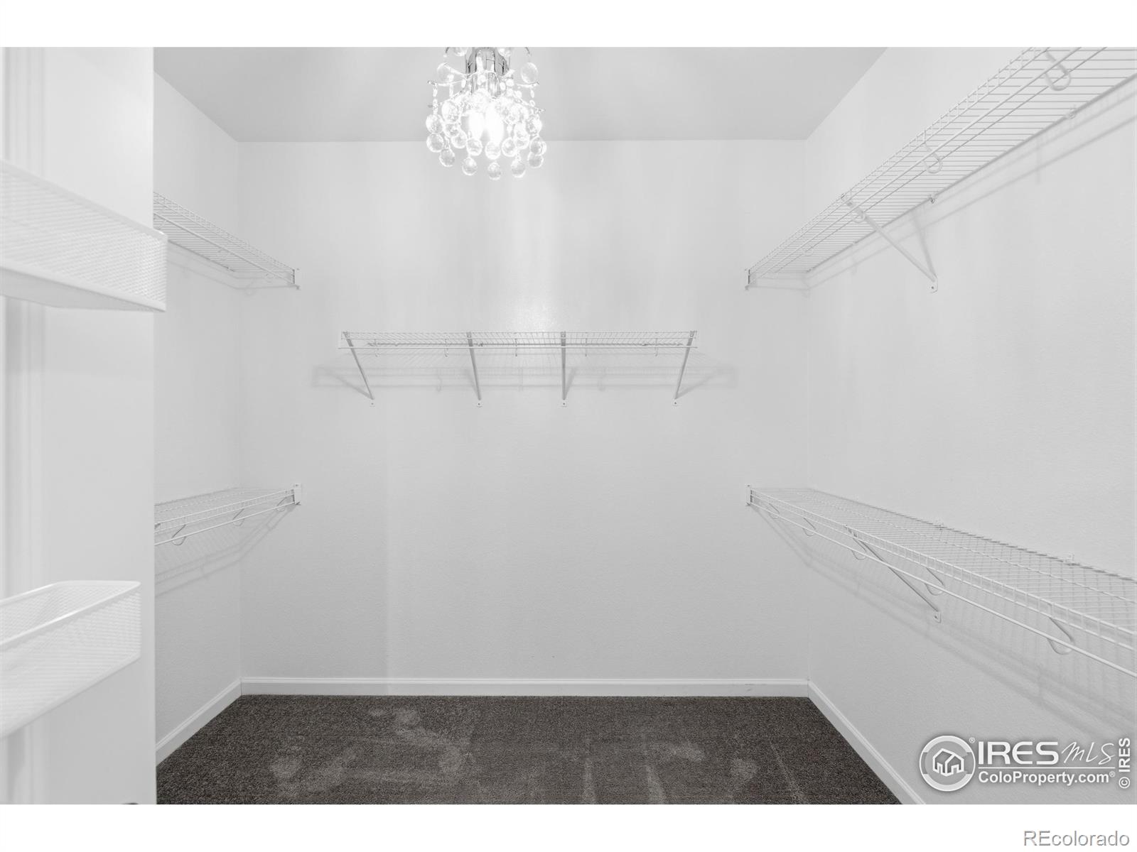 MLS Image #23 for 900  treece street,louisville, Colorado