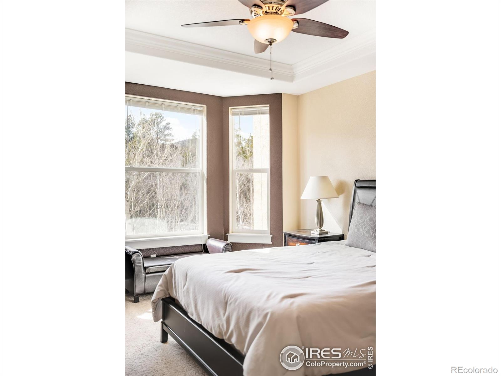 MLS Image #14 for 873 n vernon drive,central city, Colorado