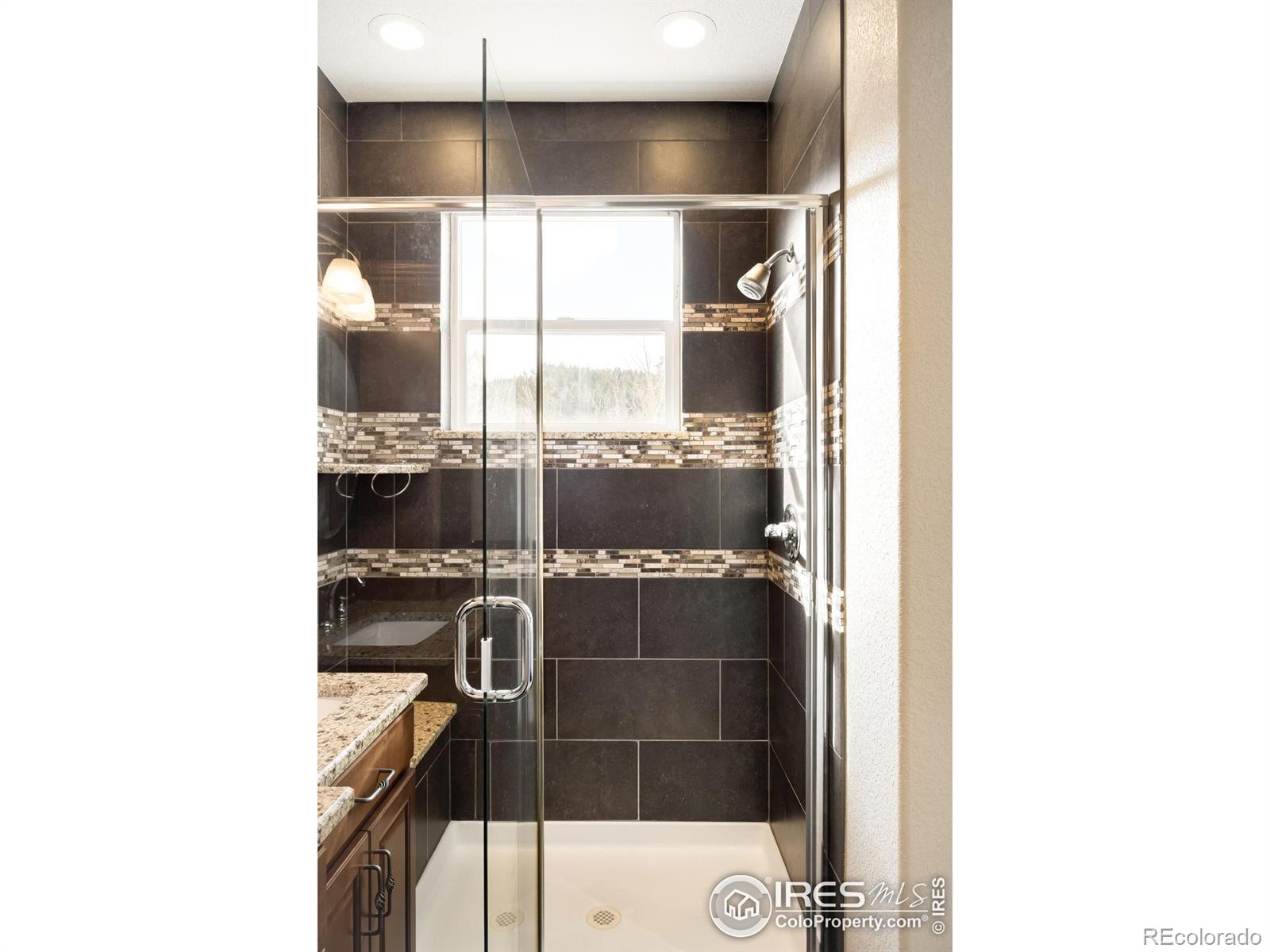 MLS Image #19 for 873 n vernon drive,central city, Colorado