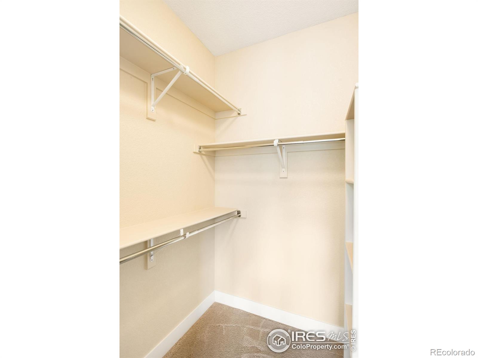 MLS Image #20 for 873 n vernon drive,central city, Colorado