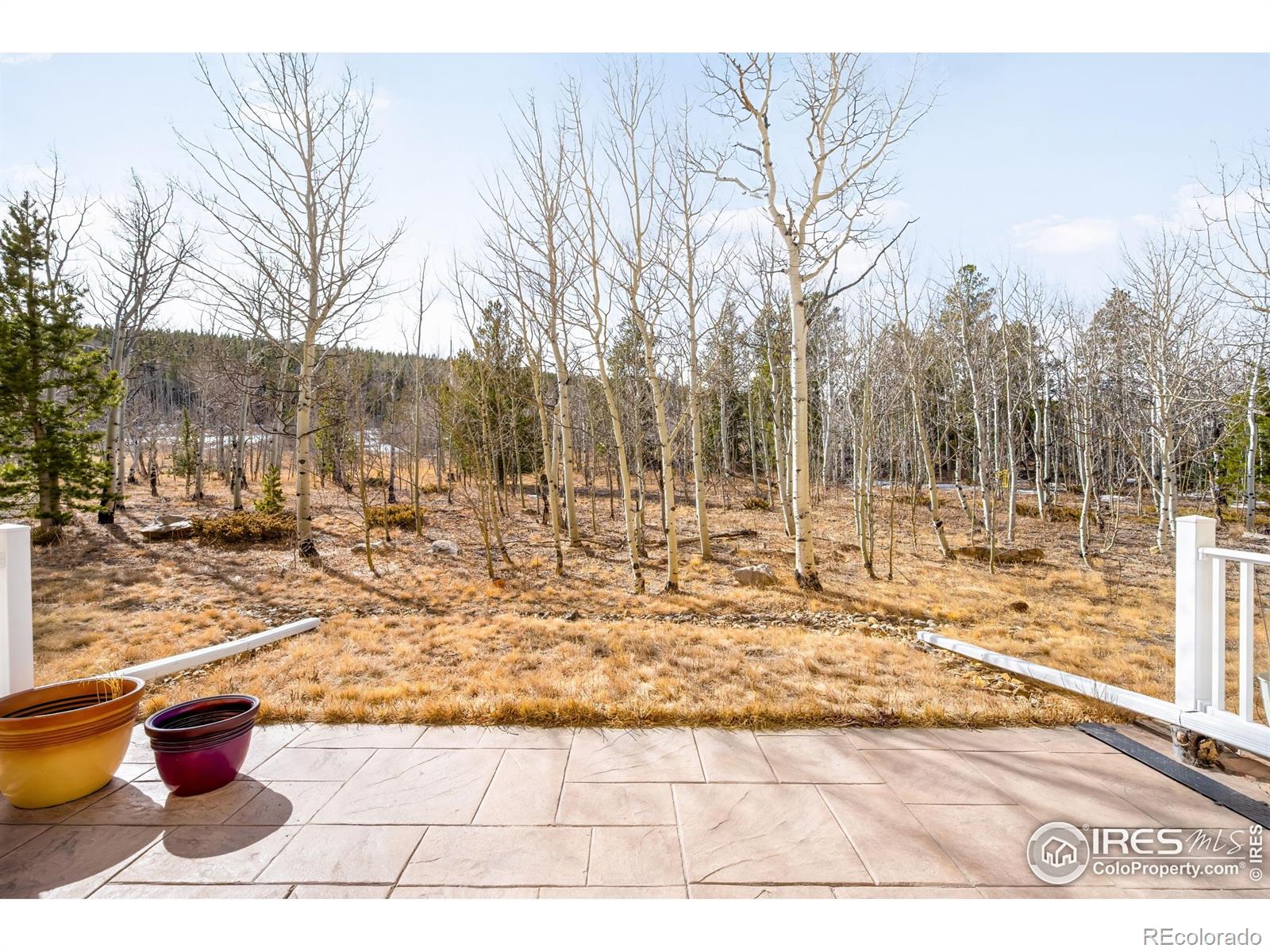 MLS Image #27 for 873 n vernon drive,central city, Colorado