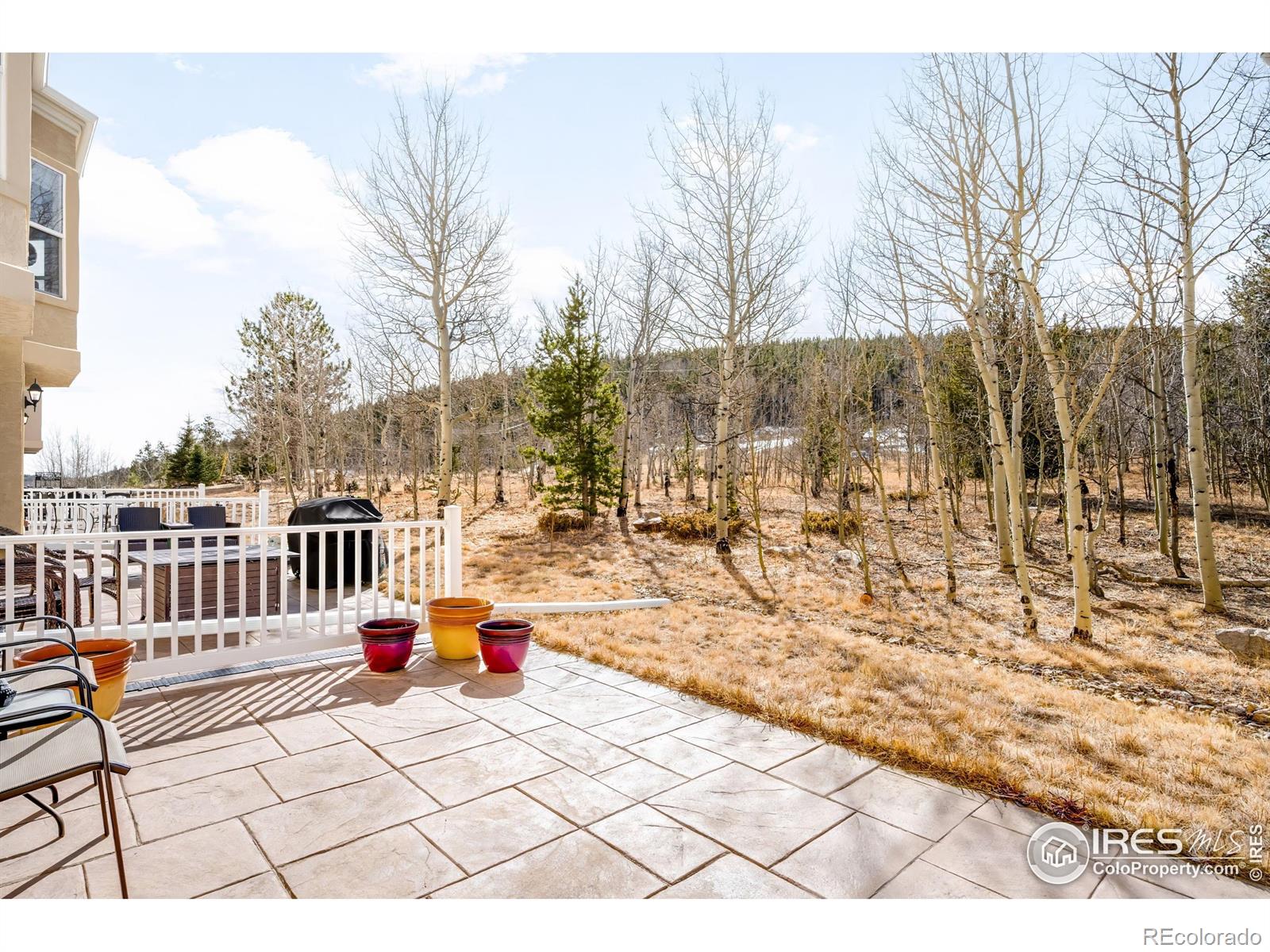 MLS Image #28 for 873 n vernon drive,central city, Colorado