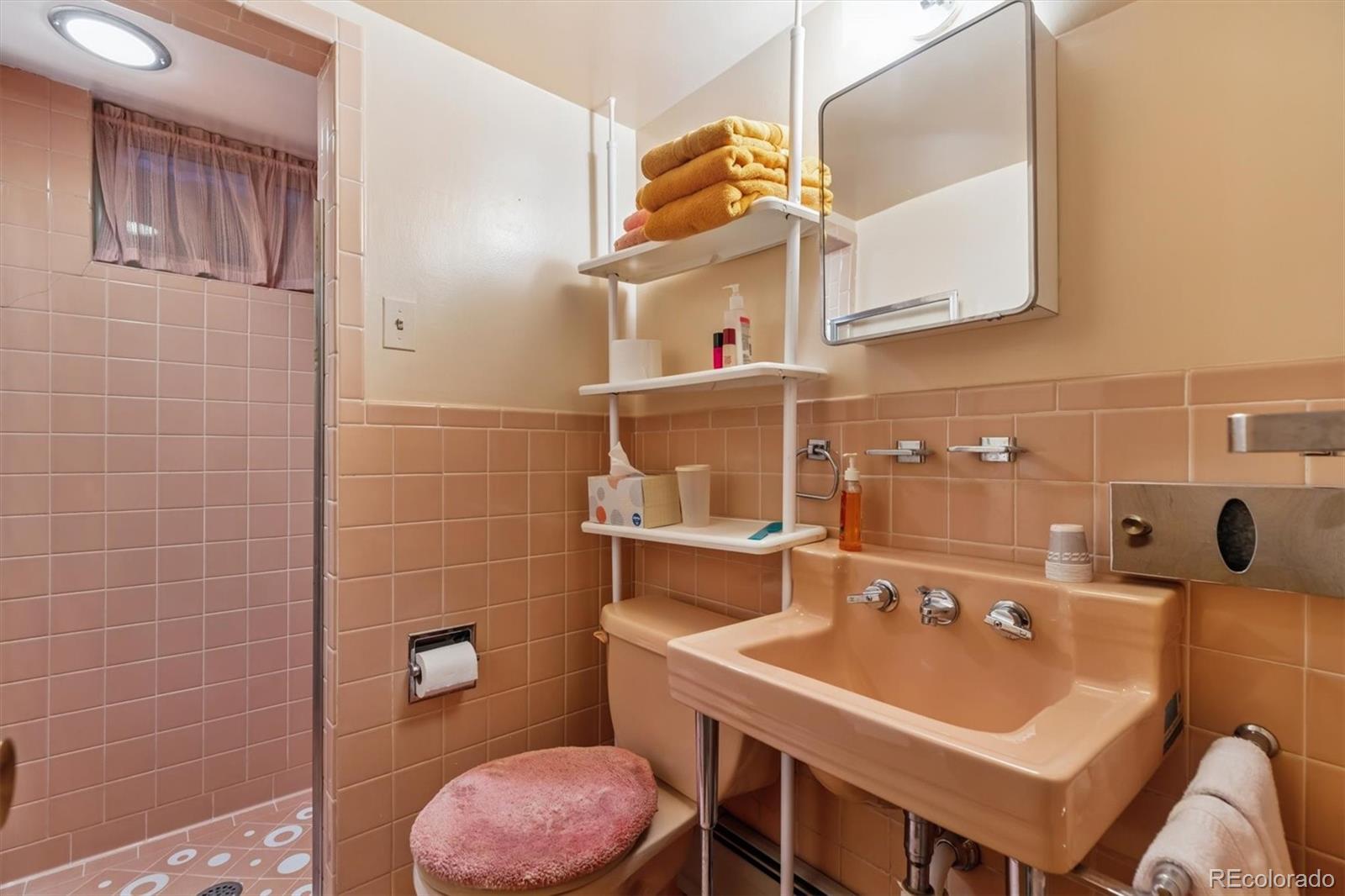 MLS Image #28 for 3253 s columbine street,denver, Colorado