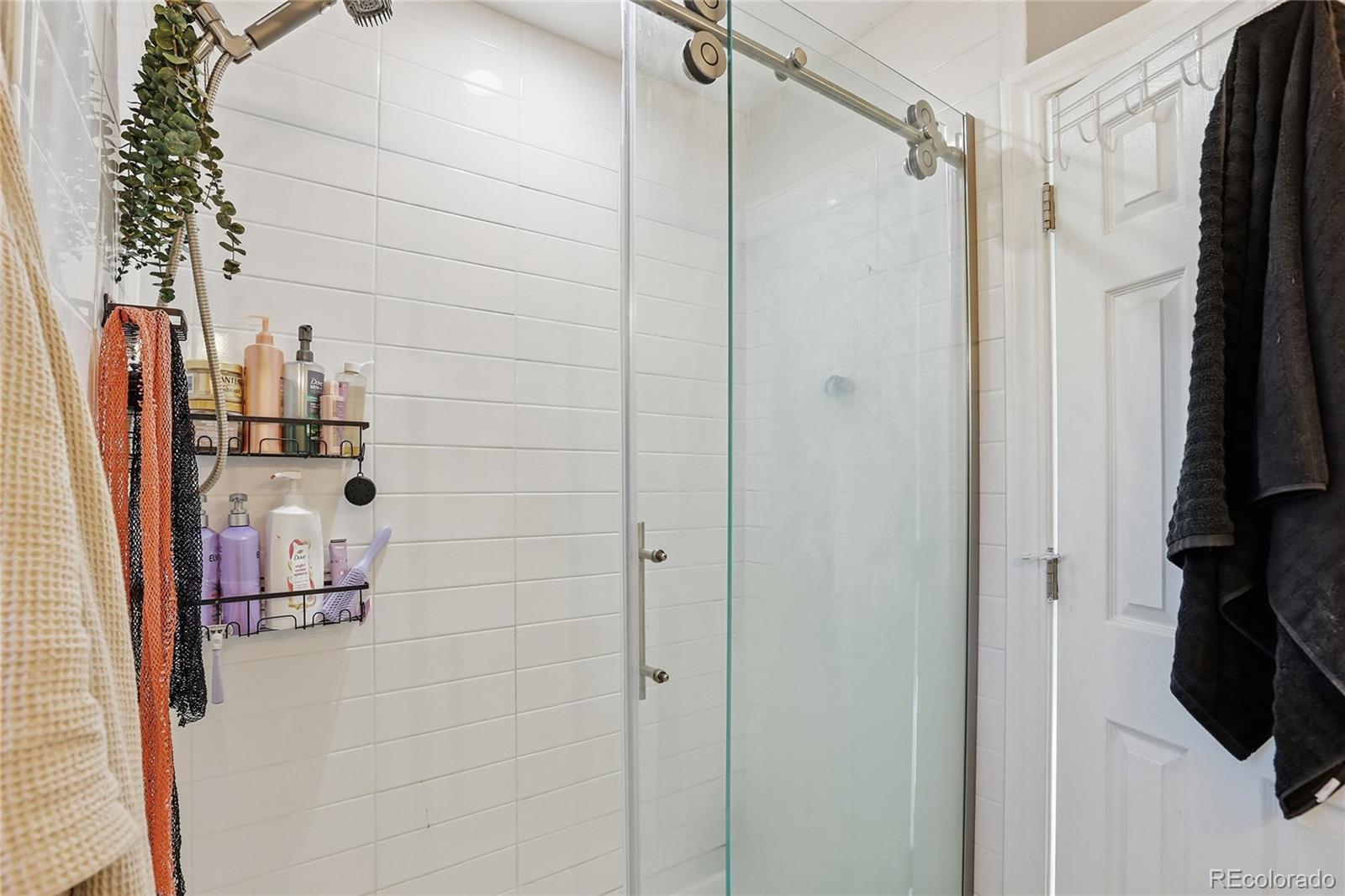 MLS Image #19 for 3248  fernleaf court,castle rock, Colorado