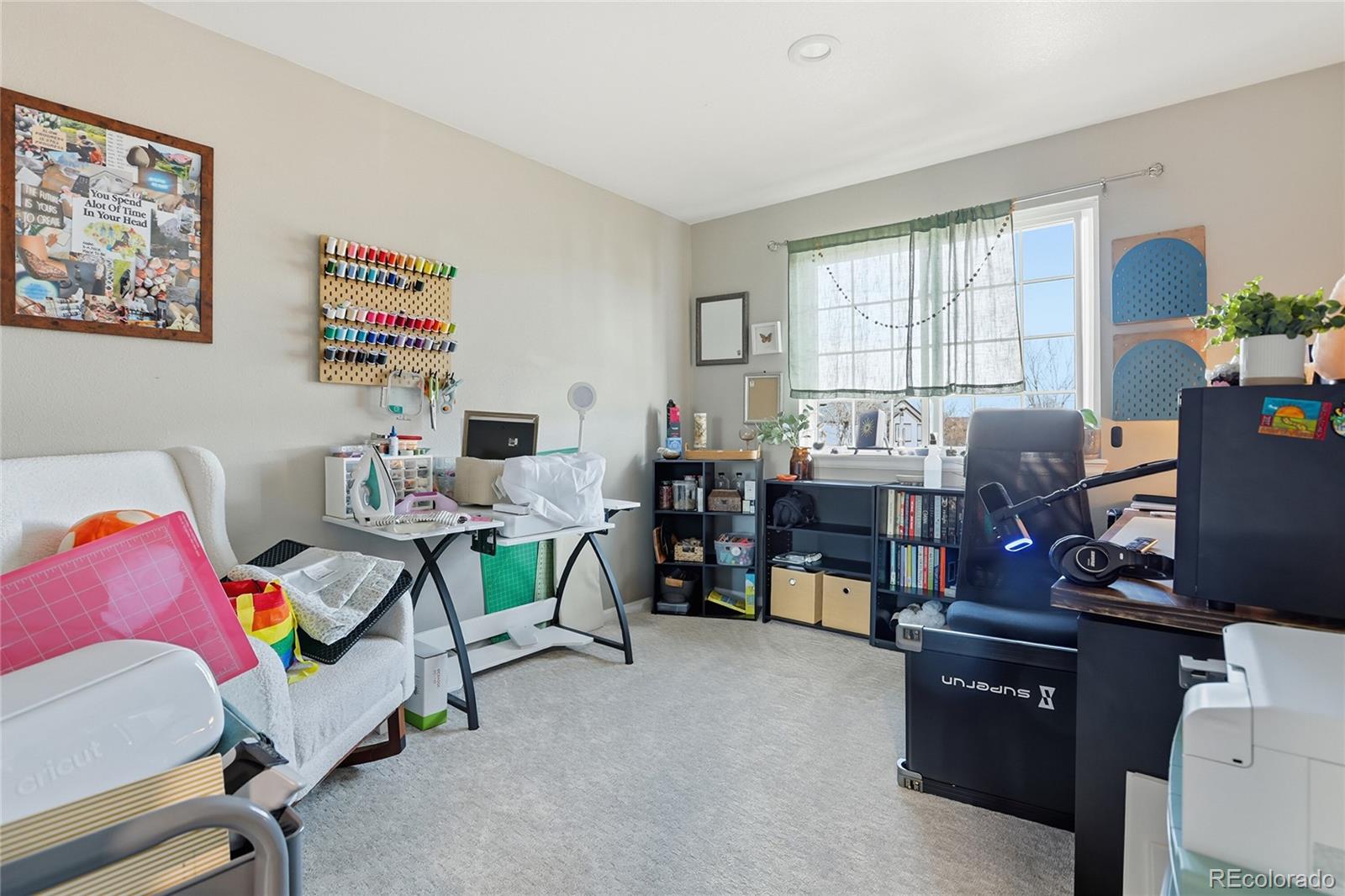 MLS Image #22 for 3248  fernleaf court,castle rock, Colorado