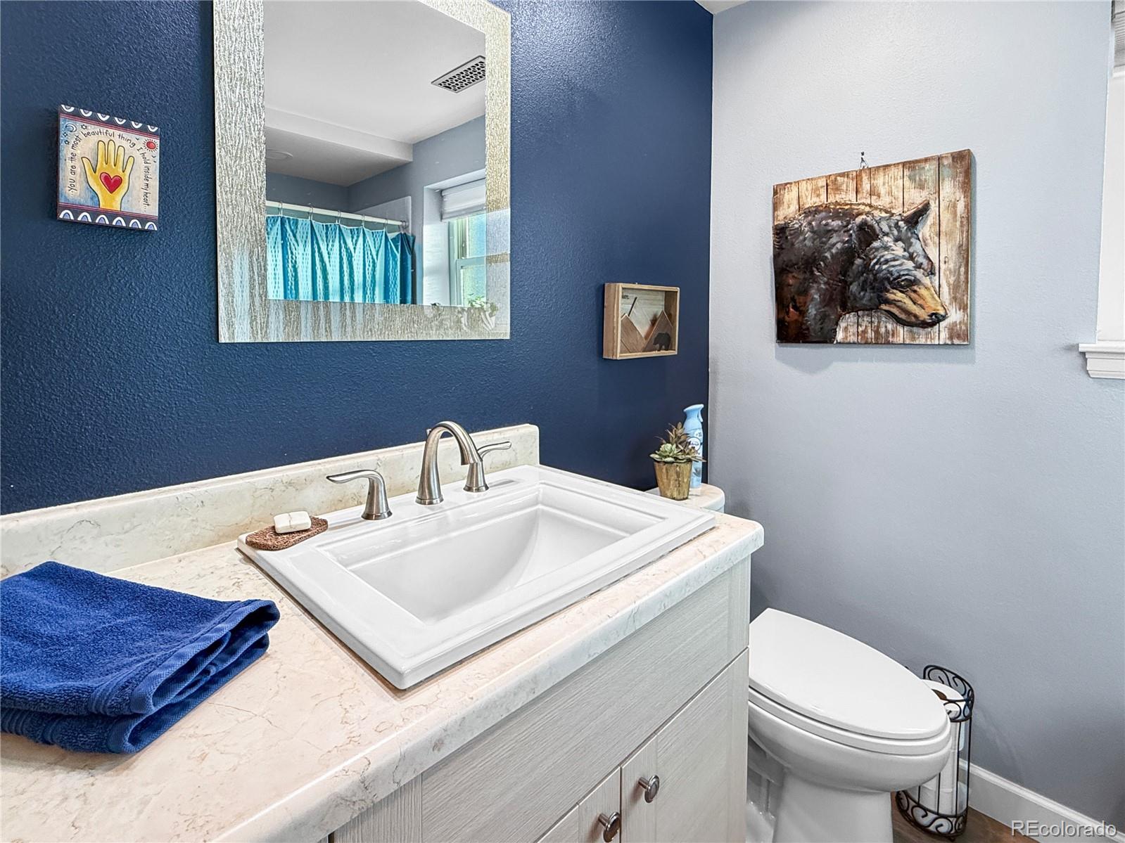 MLS Image #25 for 4386 s xenophon way,morrison, Colorado