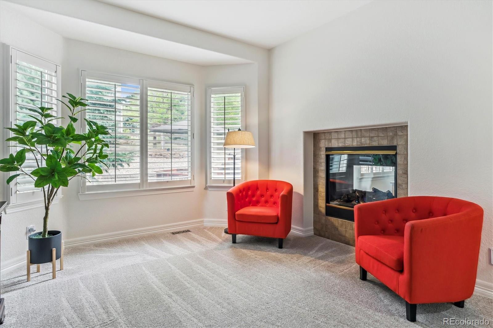 MLS Image #13 for 3443  elk run drive,castle rock, Colorado