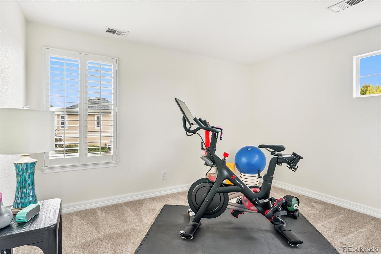 MLS Image #24 for 3443  elk run drive,castle rock, Colorado