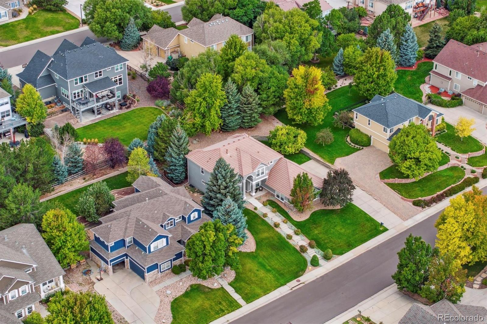 MLS Image #33 for 3443  elk run drive,castle rock, Colorado