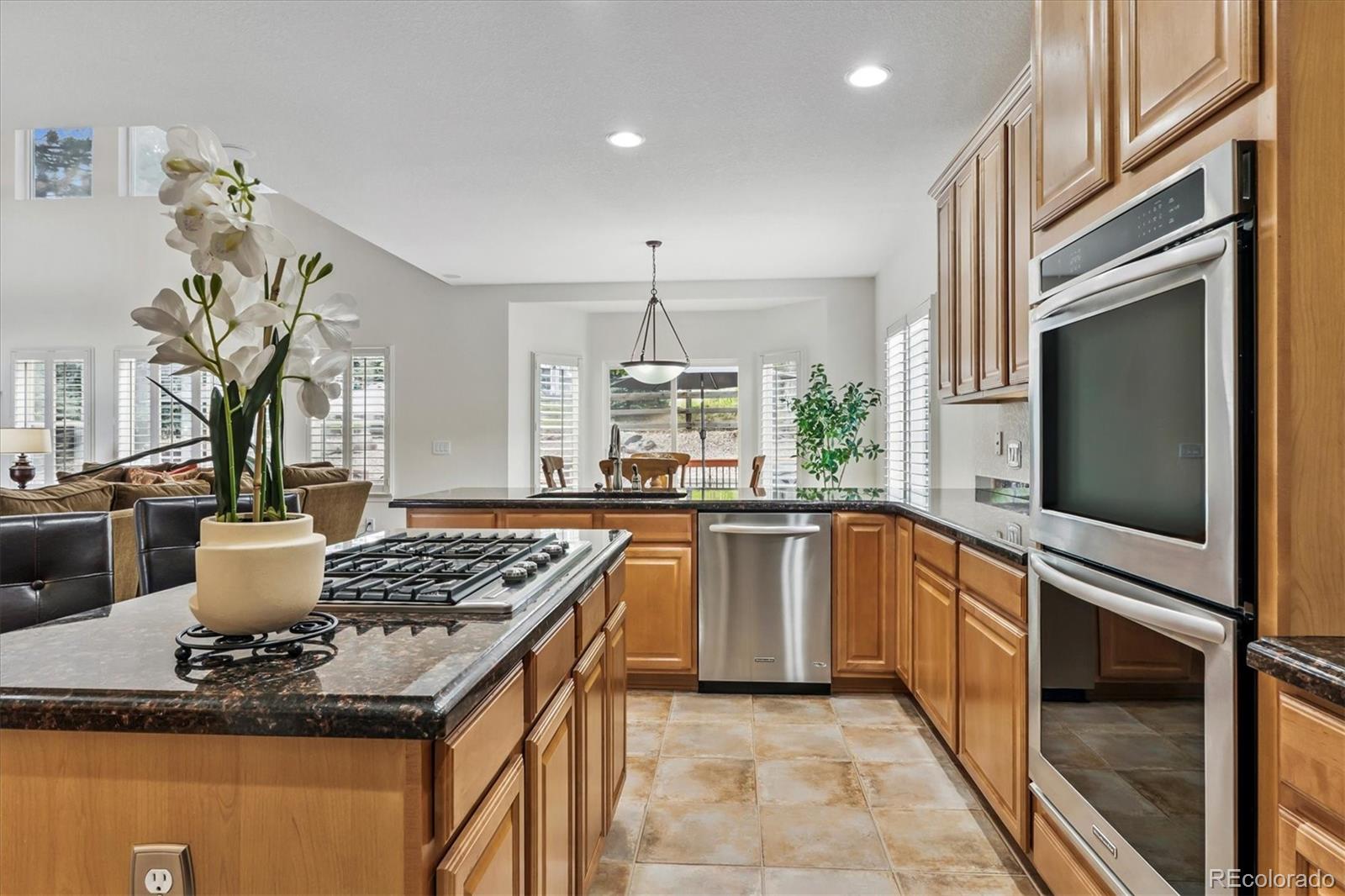 MLS Image #9 for 3443  elk run drive,castle rock, Colorado