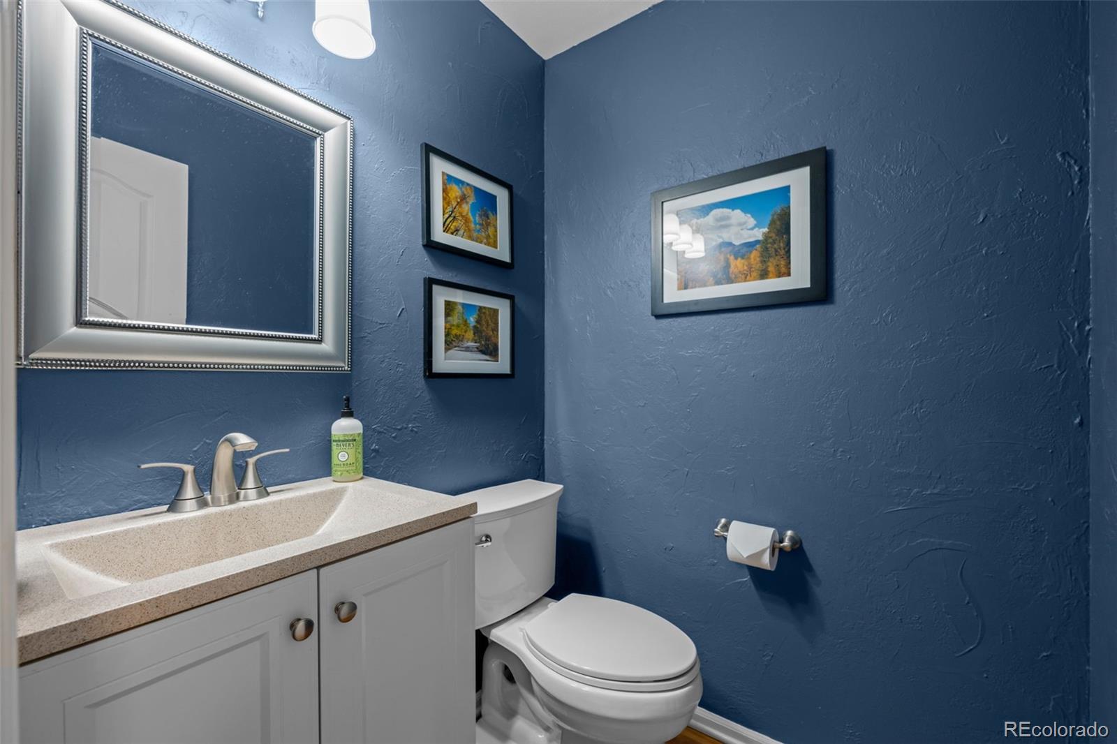 MLS Image #22 for 9717 s bexley drive,highlands ranch, Colorado