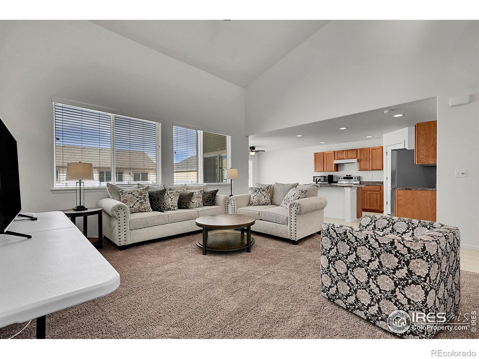 MLS Image #10 for 831  sambar drive,severance, Colorado