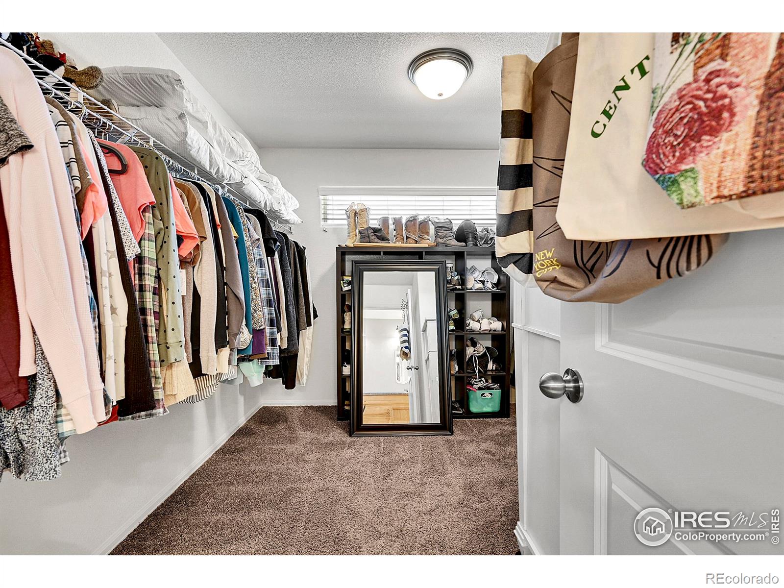 MLS Image #31 for 831  sambar drive,severance, Colorado