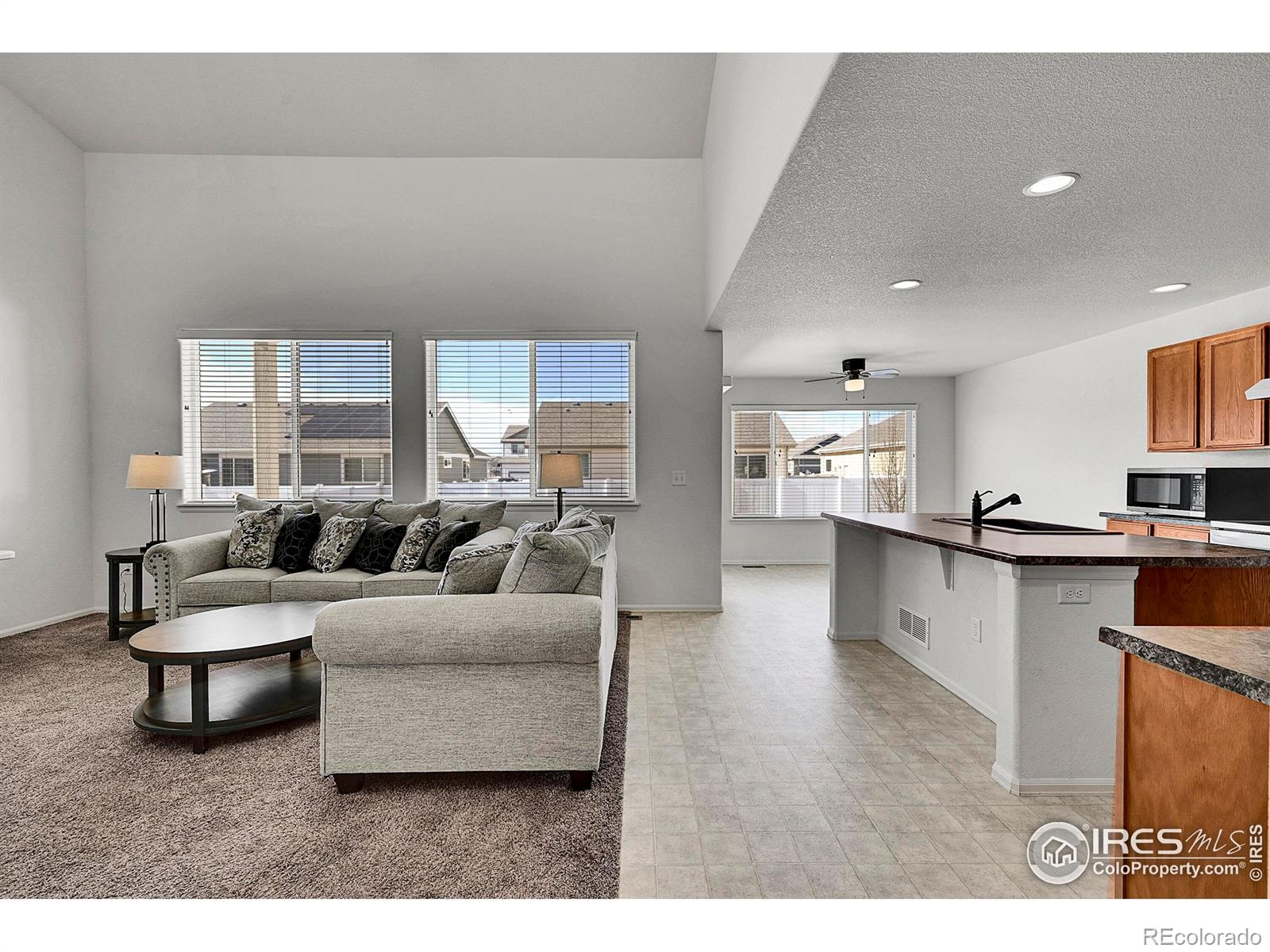 MLS Image #8 for 831  sambar drive,severance, Colorado